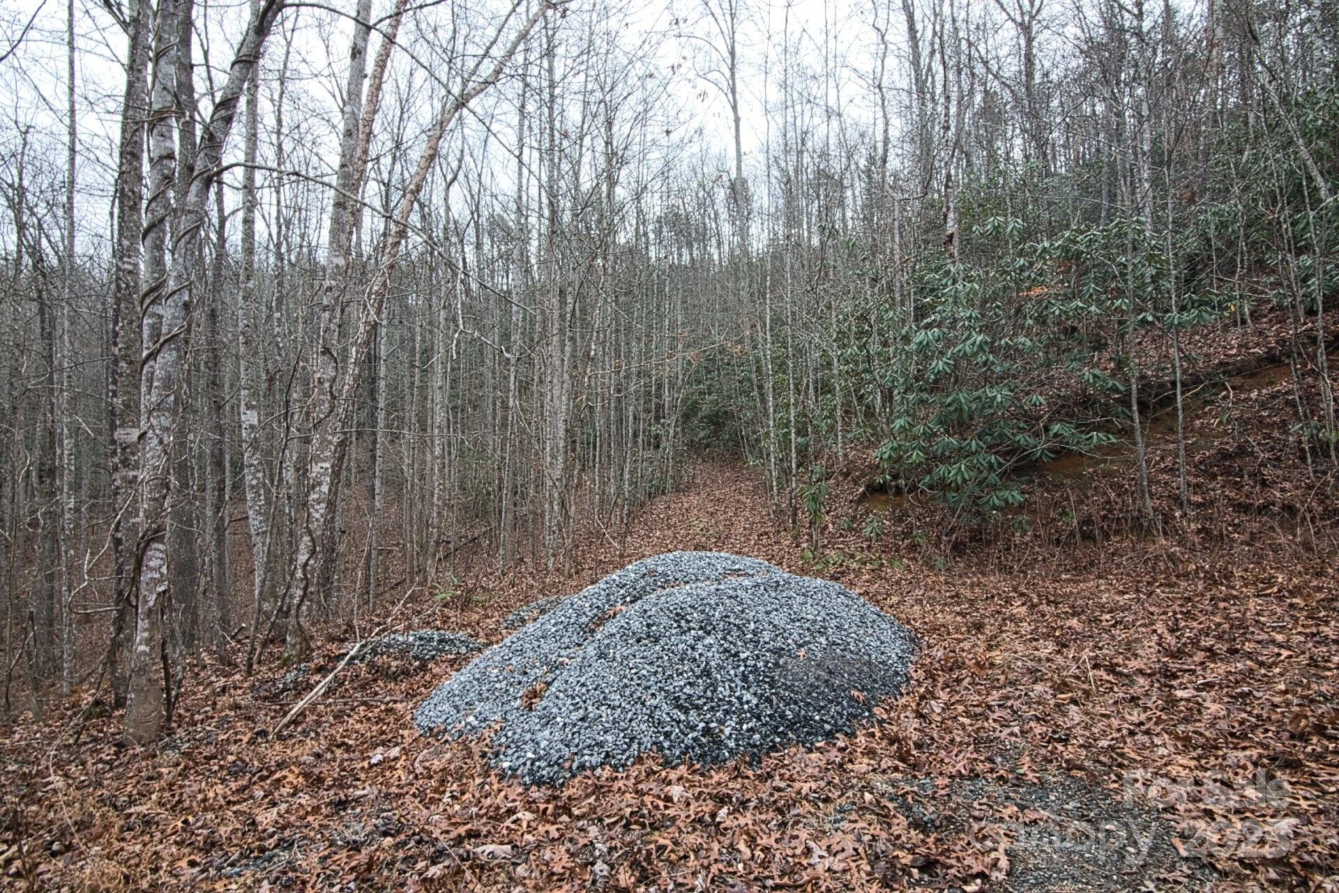 00 Jarrell Loop - Photo 21