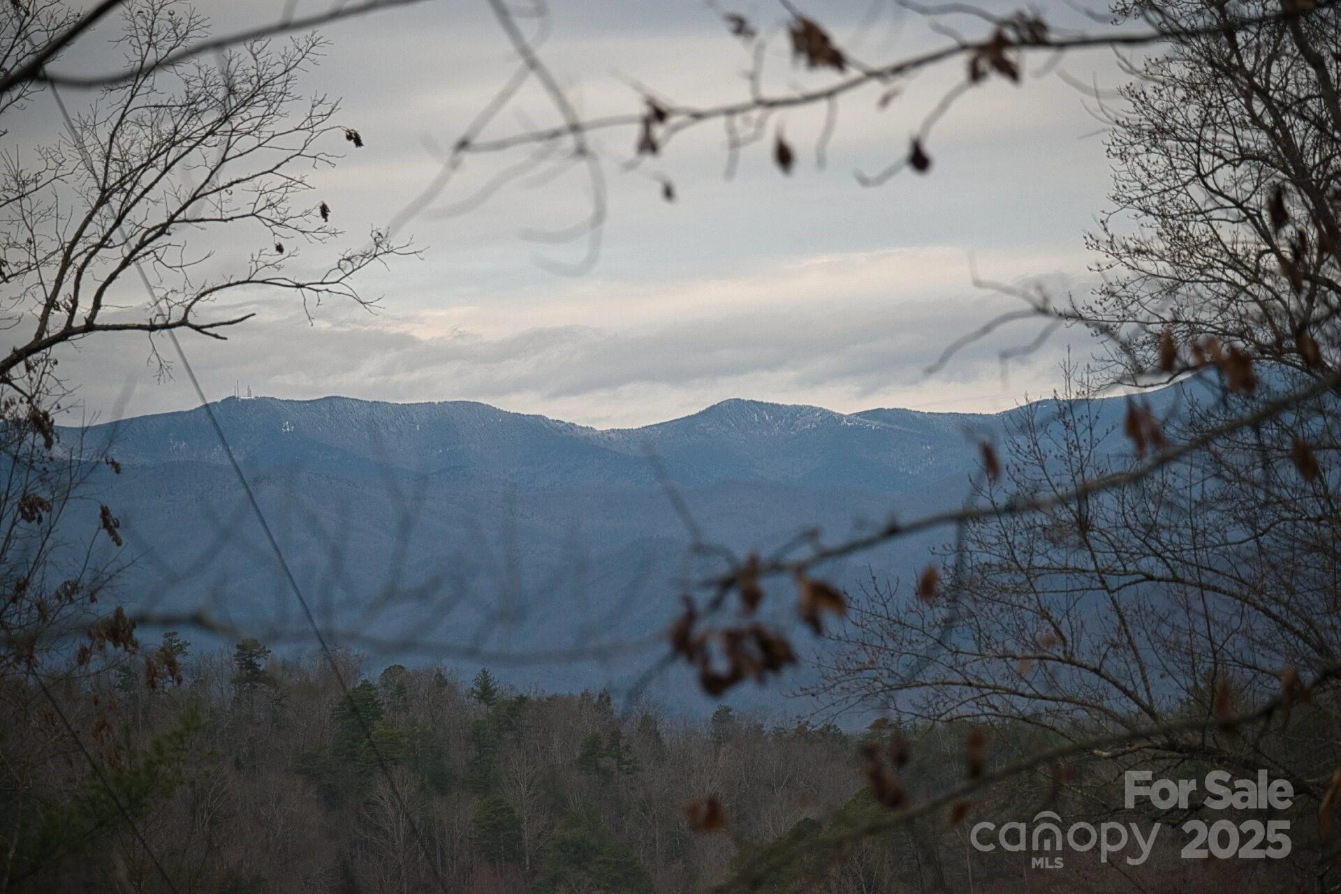 00 Jarrell Loop - Photo 23