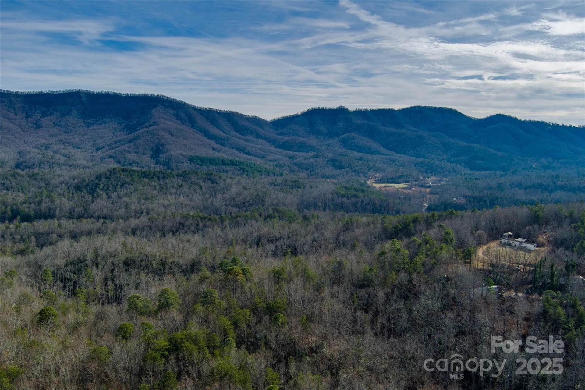 00 Jarrell Loop - Photo 6