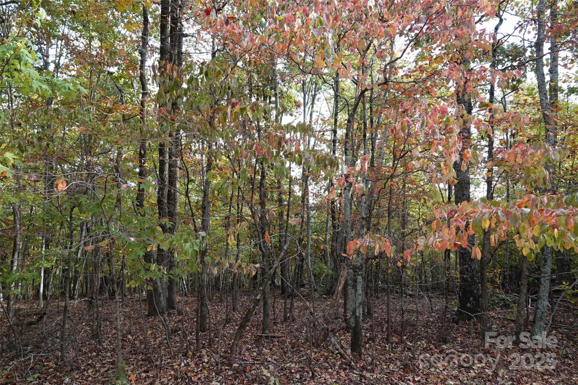 69 Adirondack Lane - Photo 5
