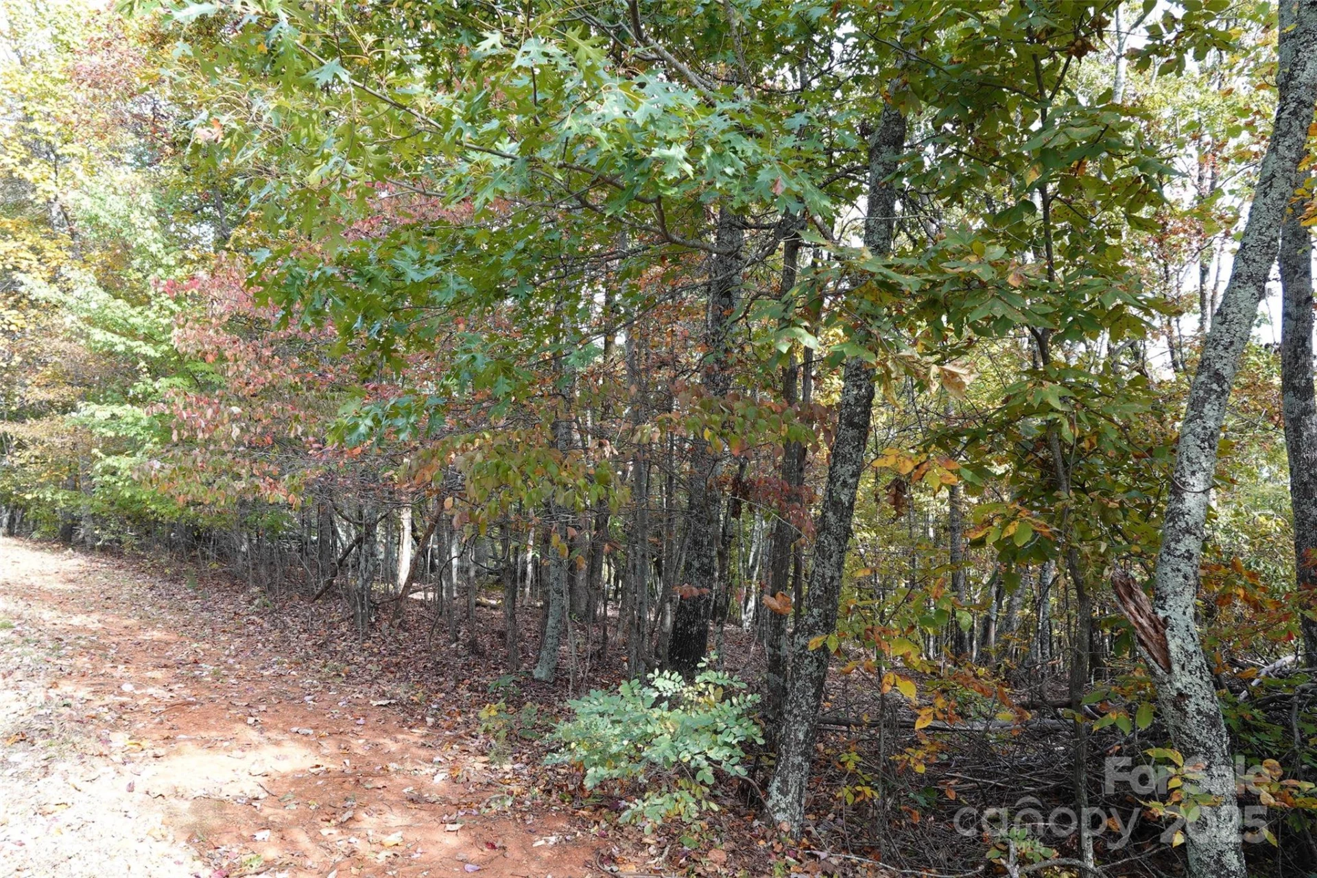 69 Adirondack Lane - Photo 6