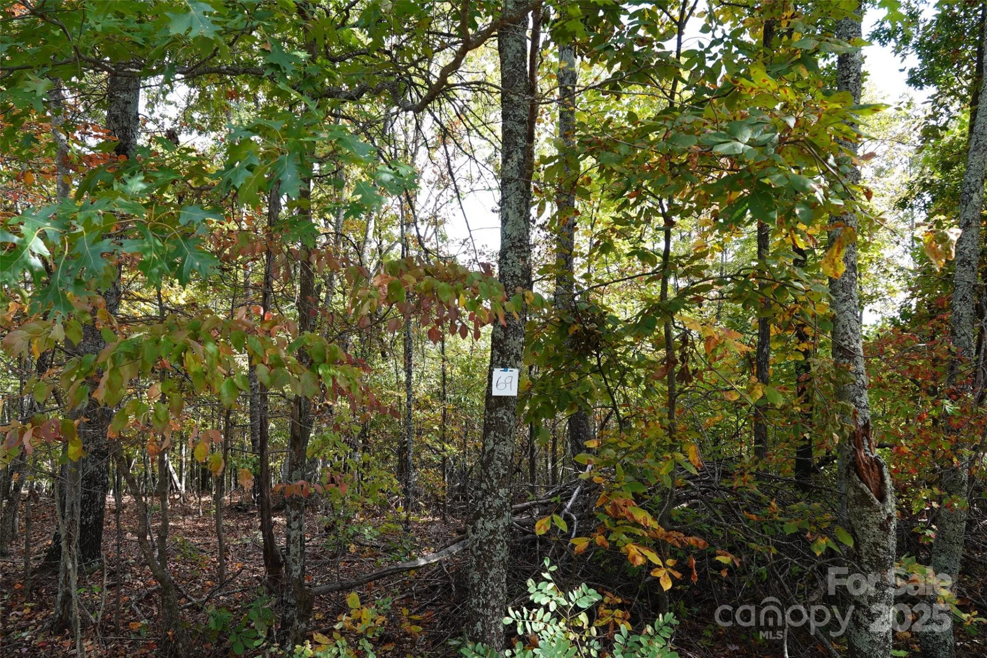 69 Adirondack Lane - Photo 9