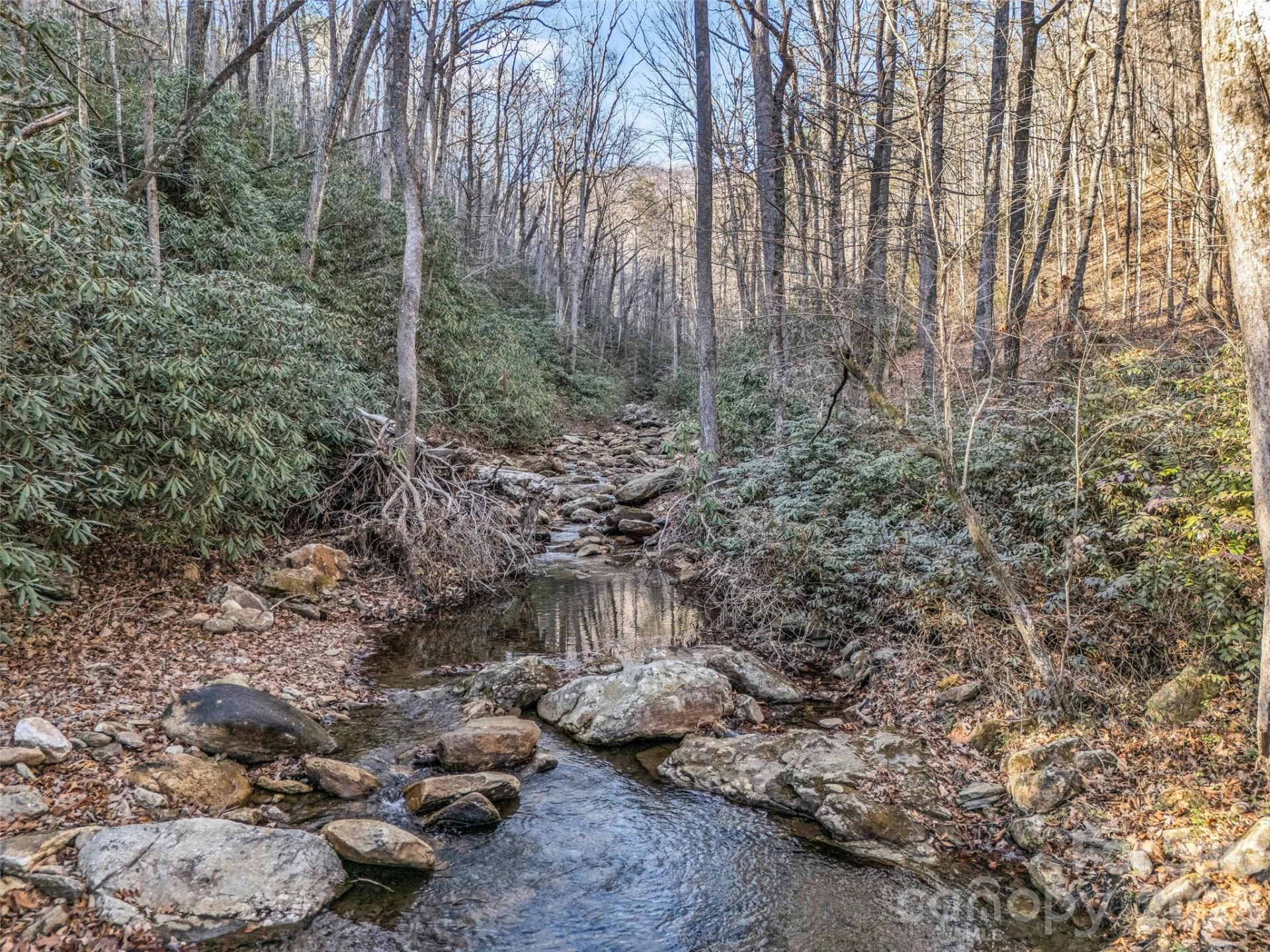 61 Deep Gap Farm Road E - Photo 14