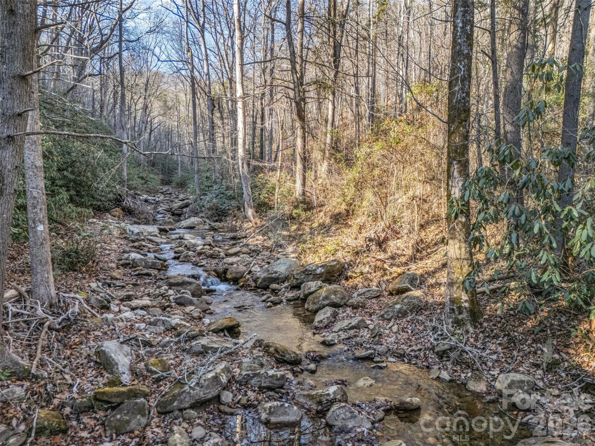 61 Deep Gap Farm Road E - Photo 16