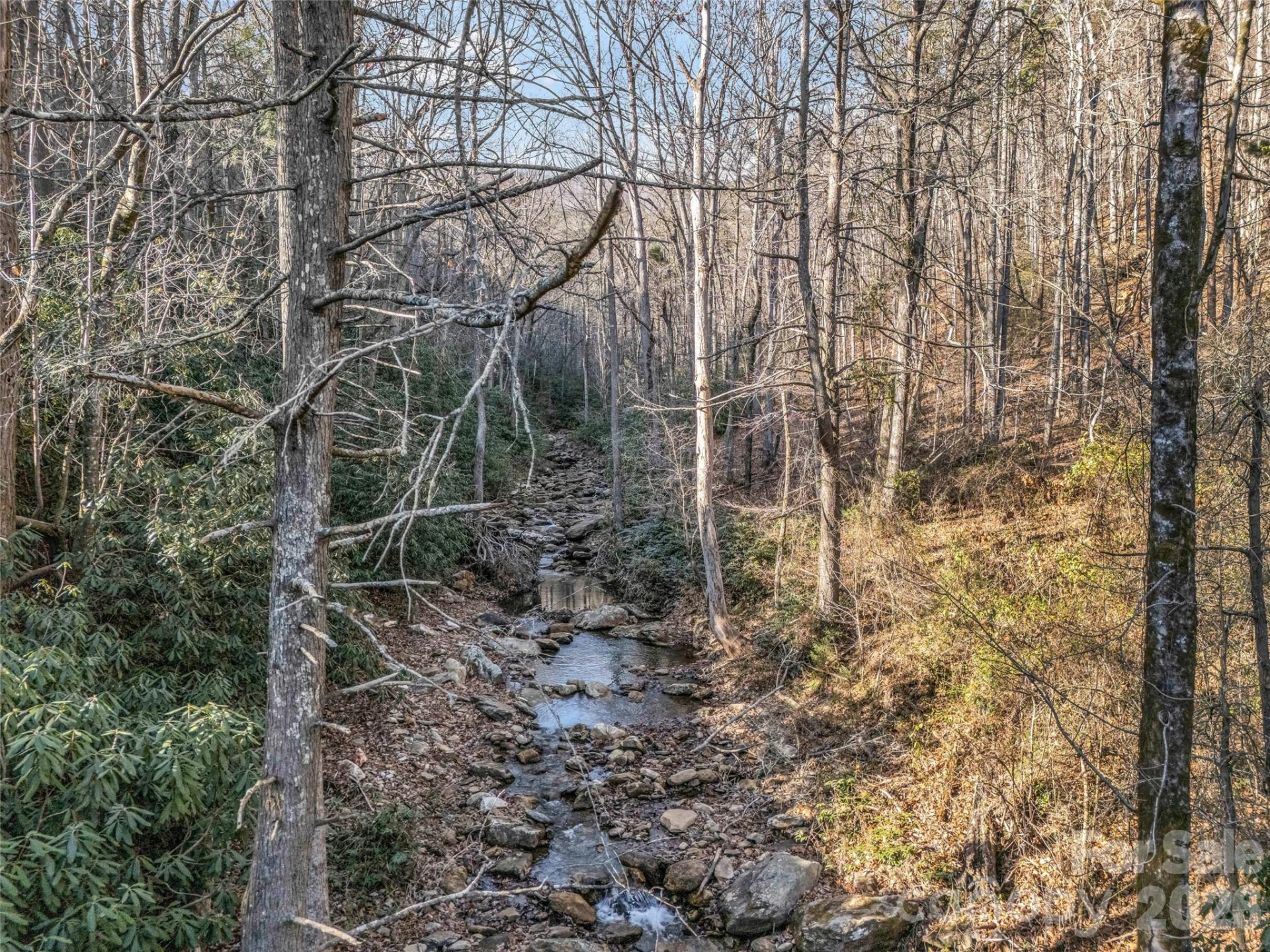 61 Deep Gap Farm Road E - Photo 17