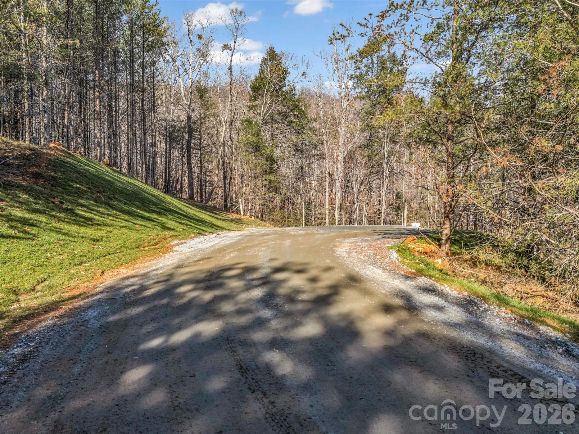61 Deep Gap Farm Road E - Photo 21