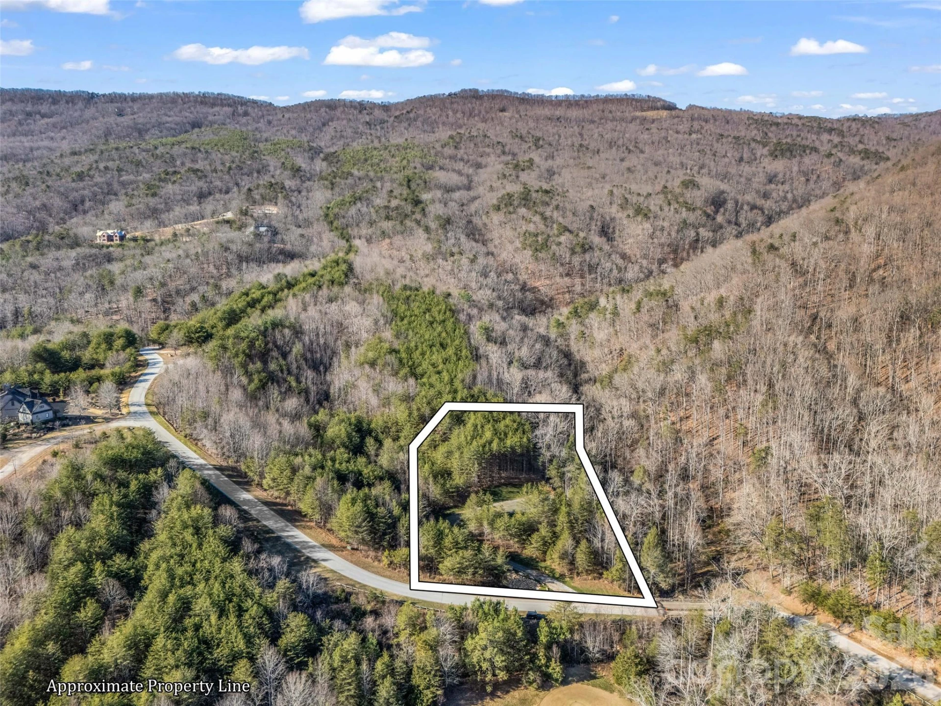 61 Deep Gap Farm Road E - Photo 4