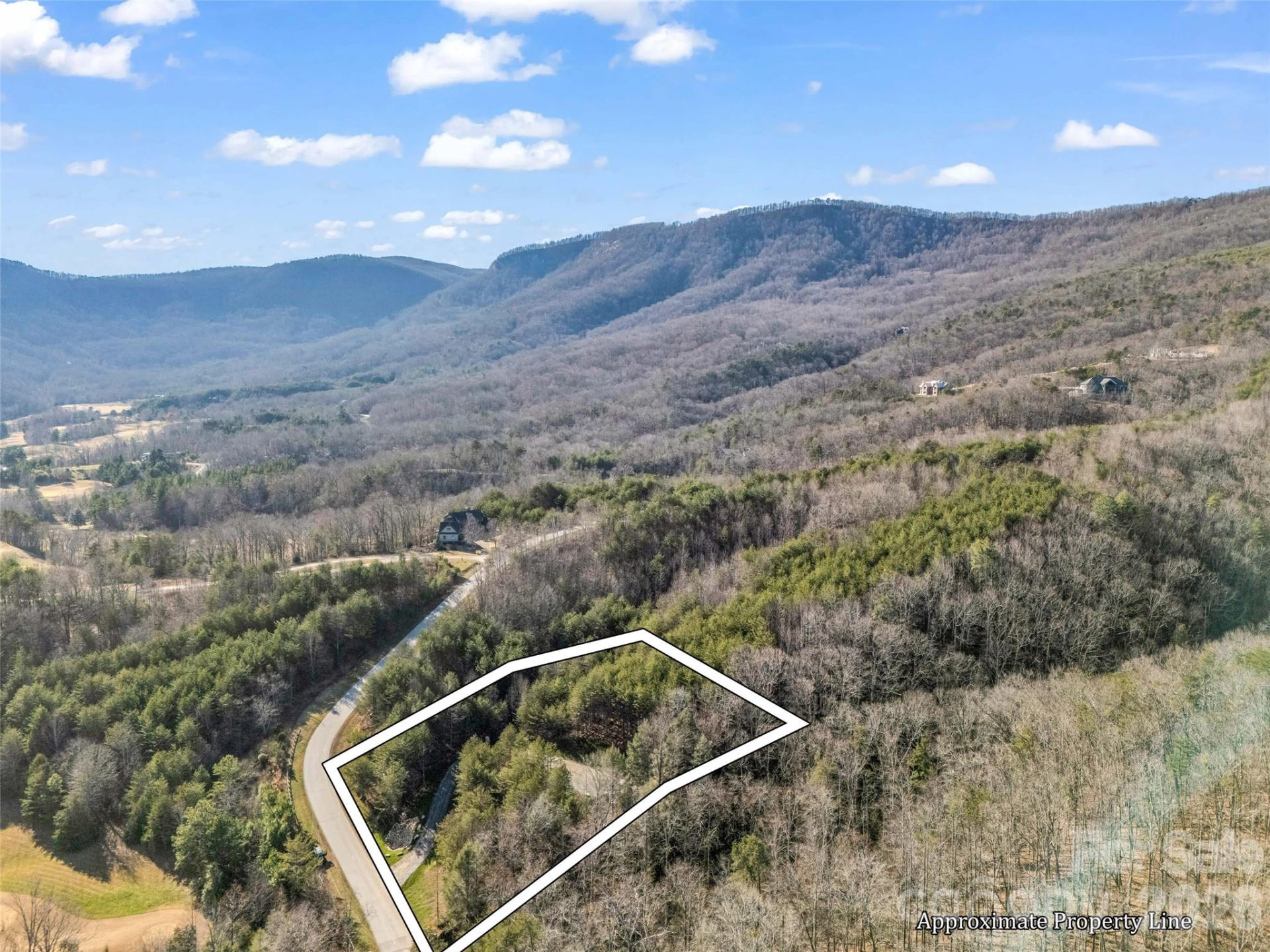 61 Deep Gap Farm Road E - Photo 5