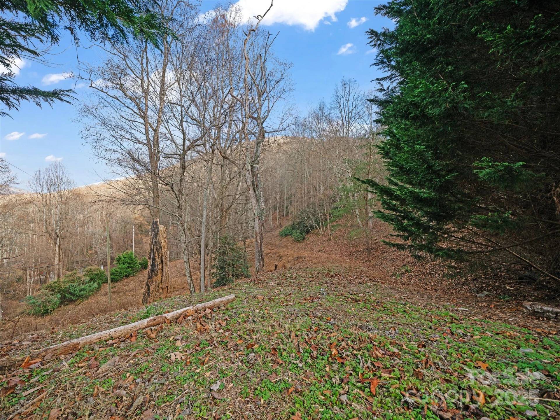 99999 Flora Rose Trail