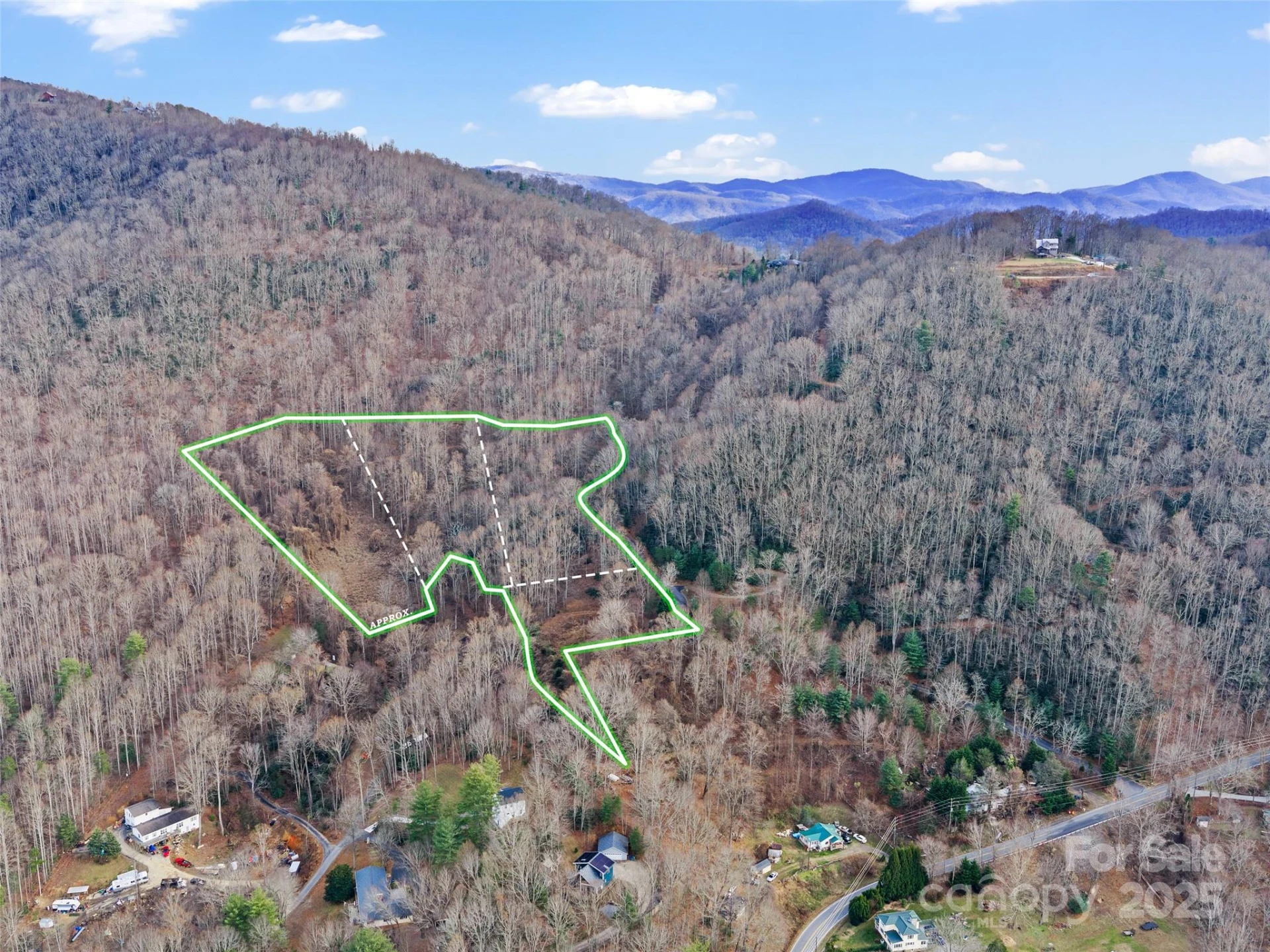99999 Flora Rose Trail - Photo 12