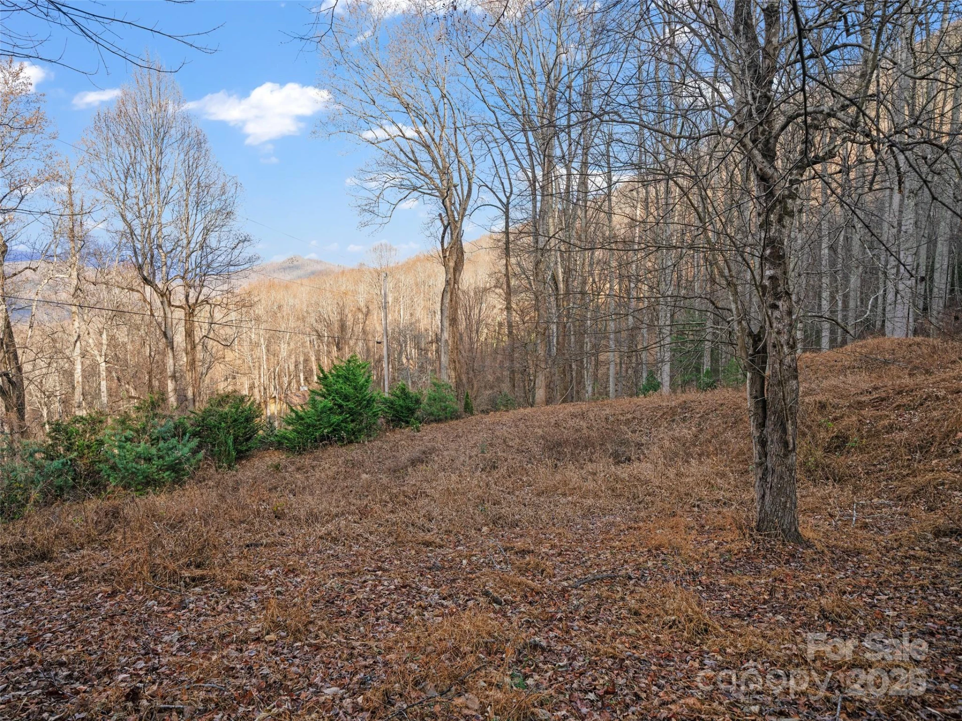99999 Flora Rose Trail - Photo 3