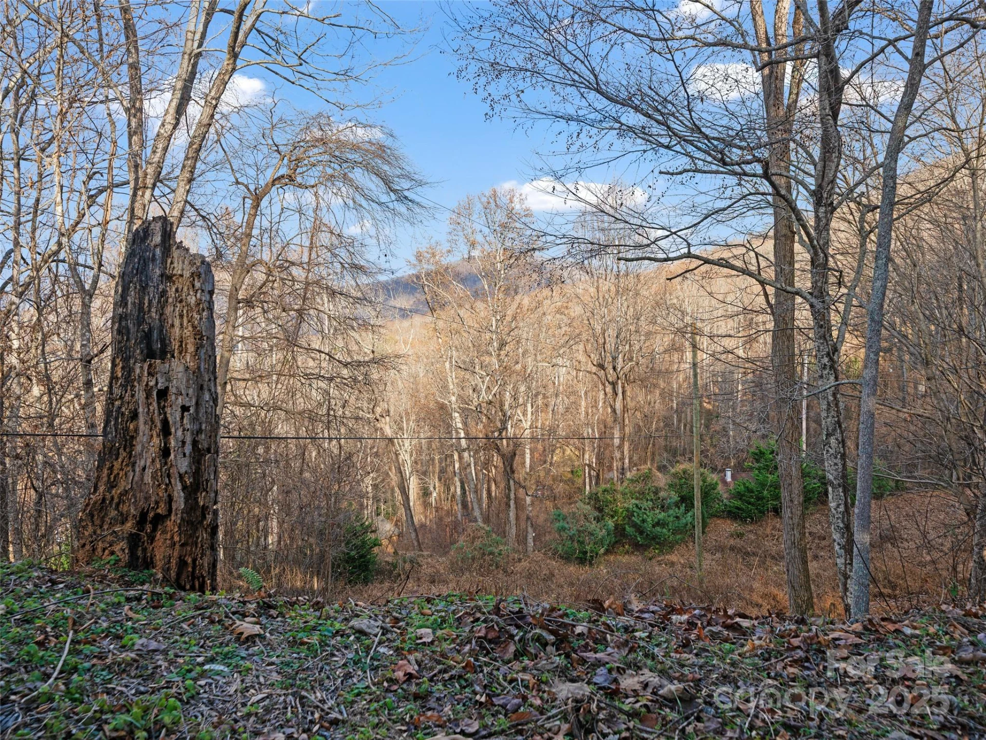 99999 Flora Rose Trail - Photo 22