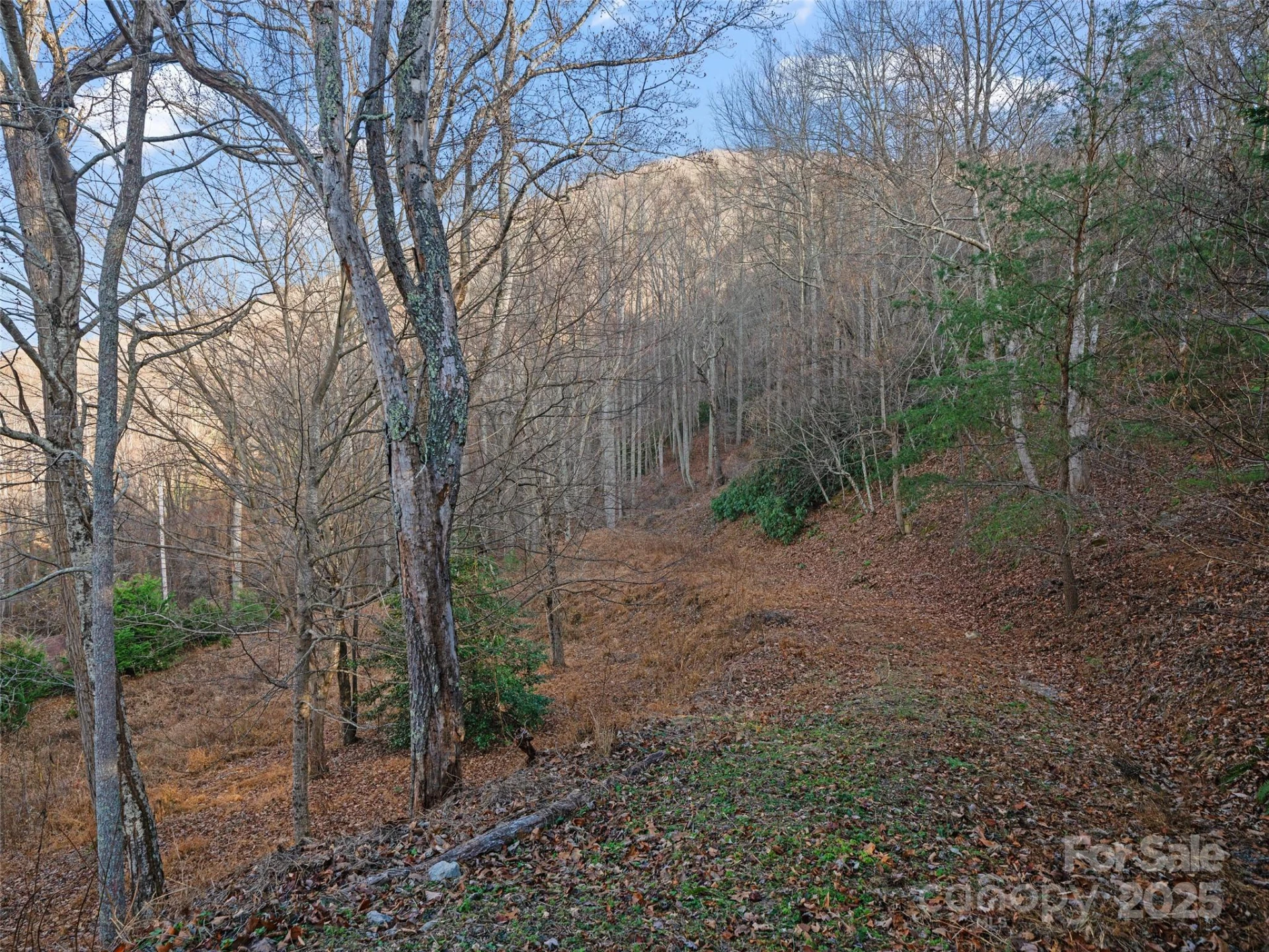 99999 Flora Rose Trail - Photo 23