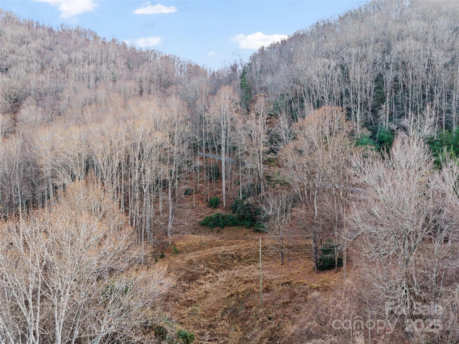 99999 Flora Rose Trail - Photo 27