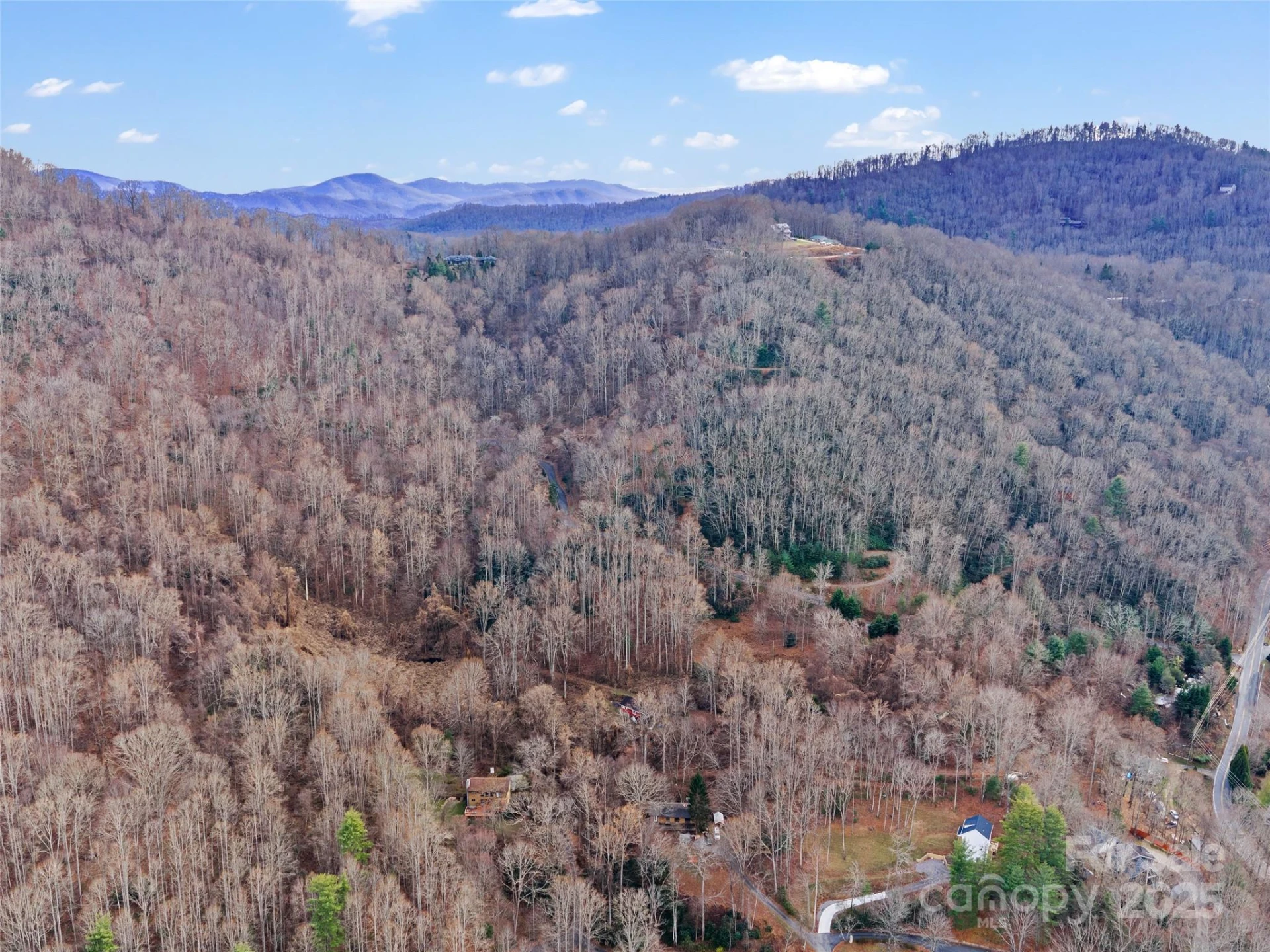 99999 Flora Rose Trail - Photo 31