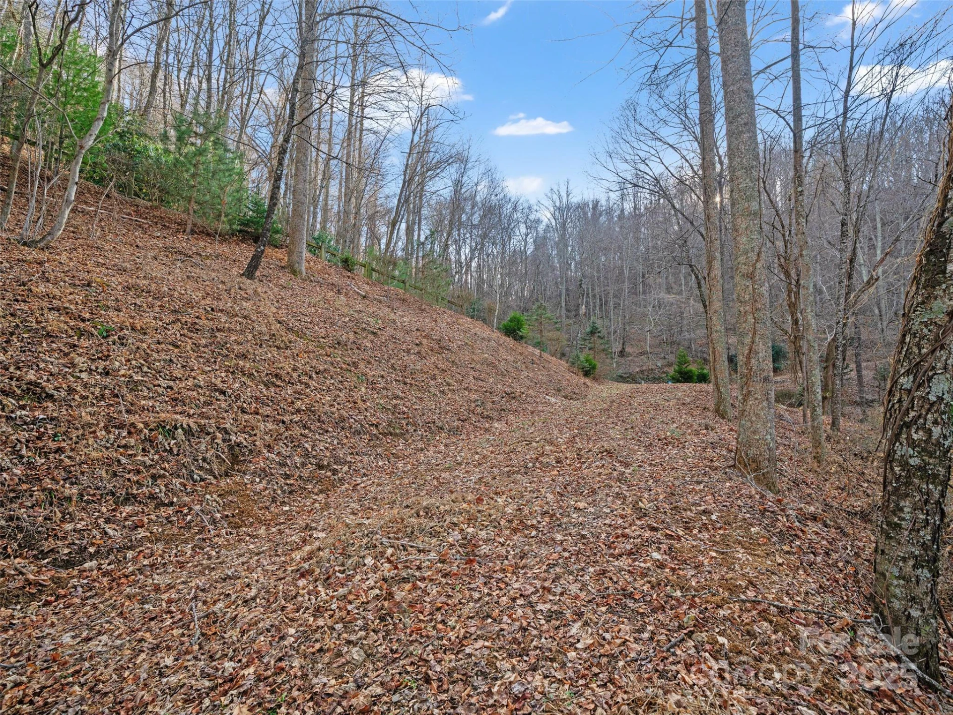 99999 Flora Rose Trail - Photo 7