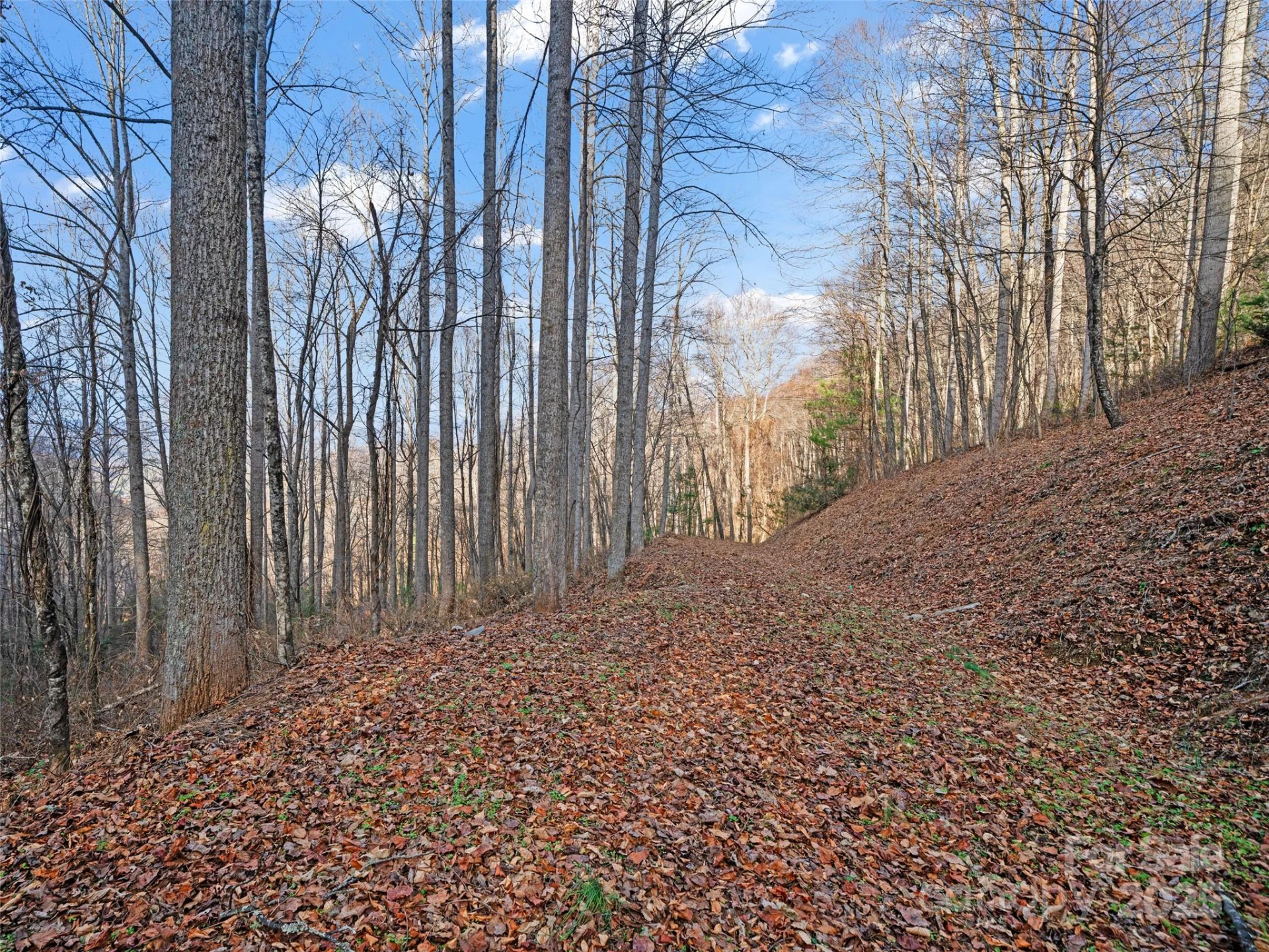 99999 Flora Rose Trail - Photo 9