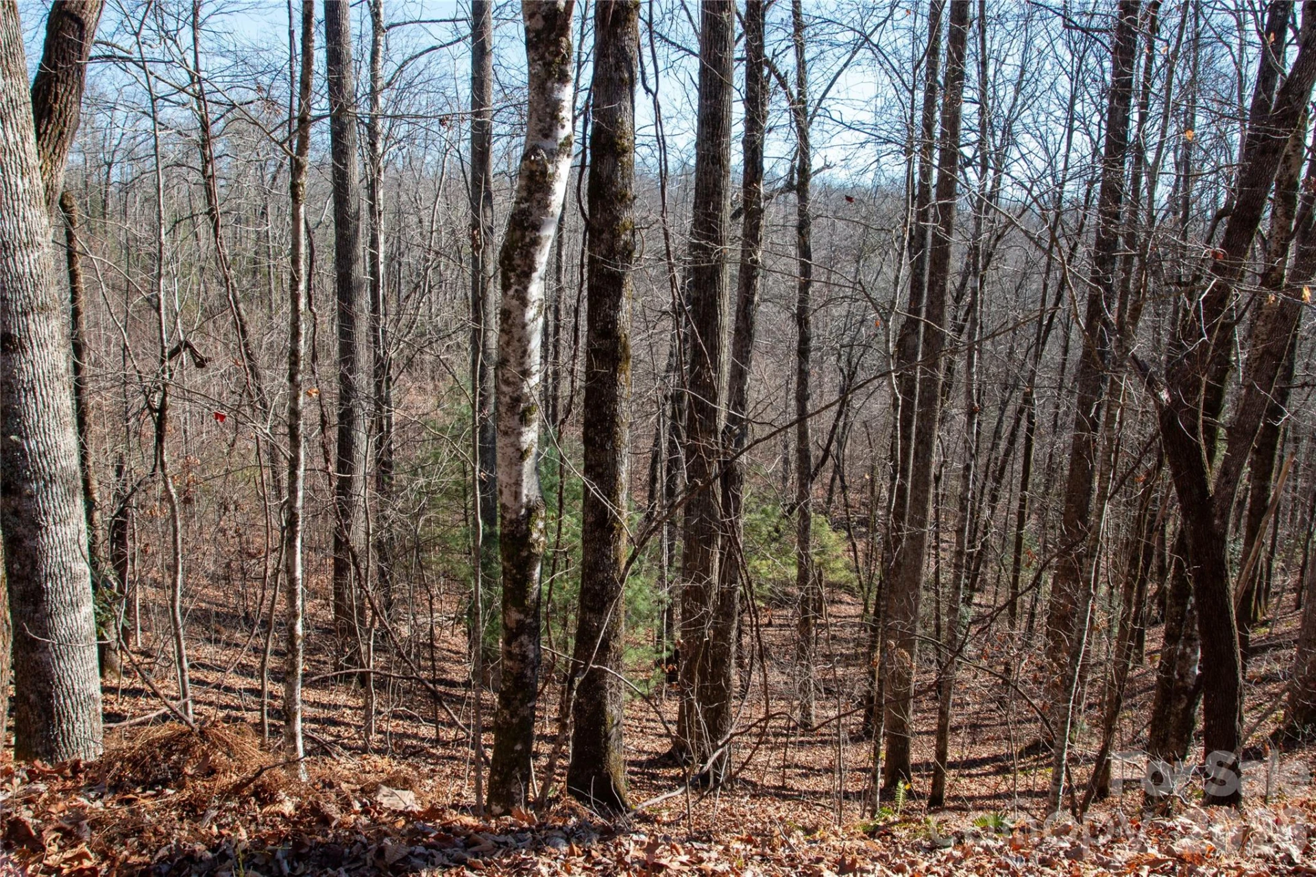 Lot 26 Big Branch Road - Photo 3