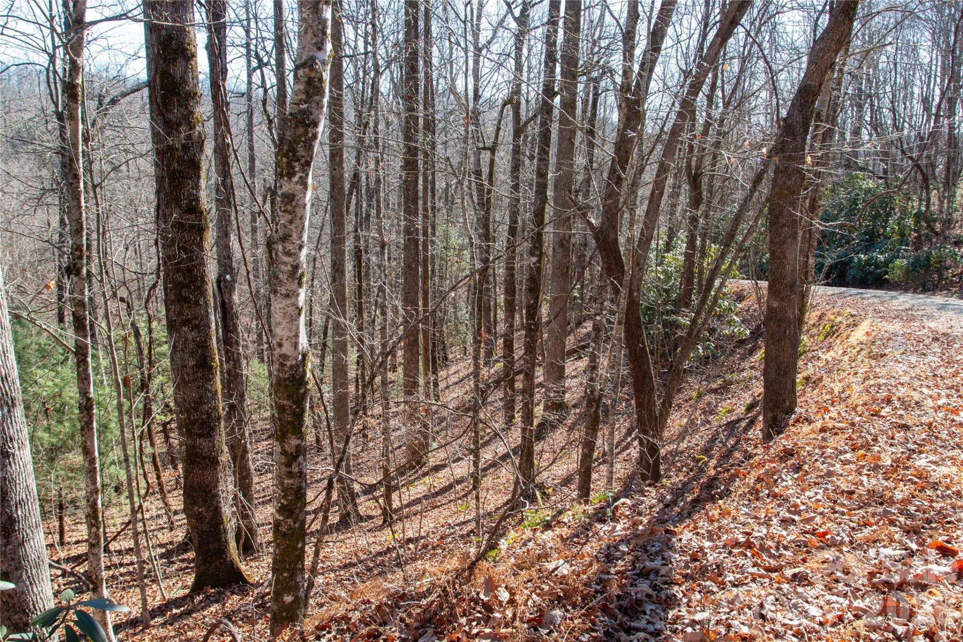 Lot 26 Big Branch Road - Photo 4