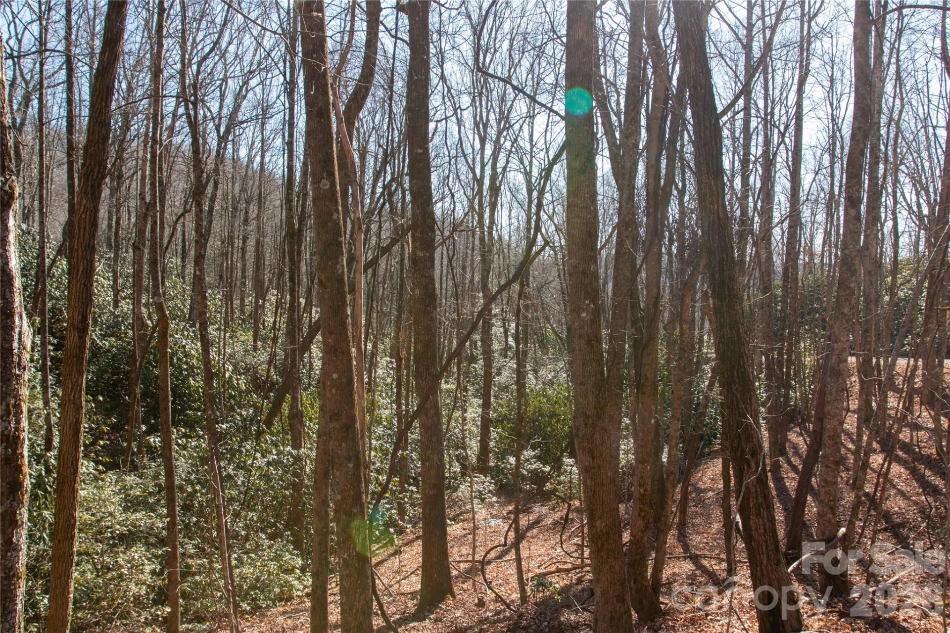 Lot 26 Big Branch Road - Photo 5