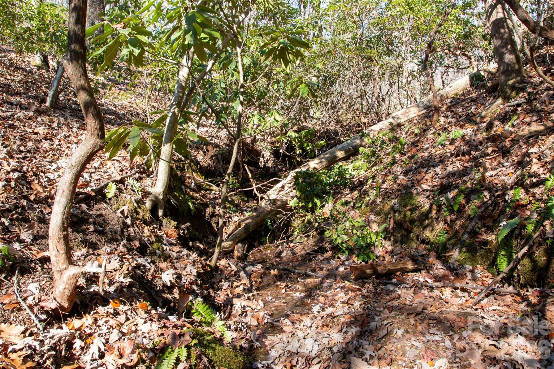 Lot 26 Big Branch Road - Photo 6