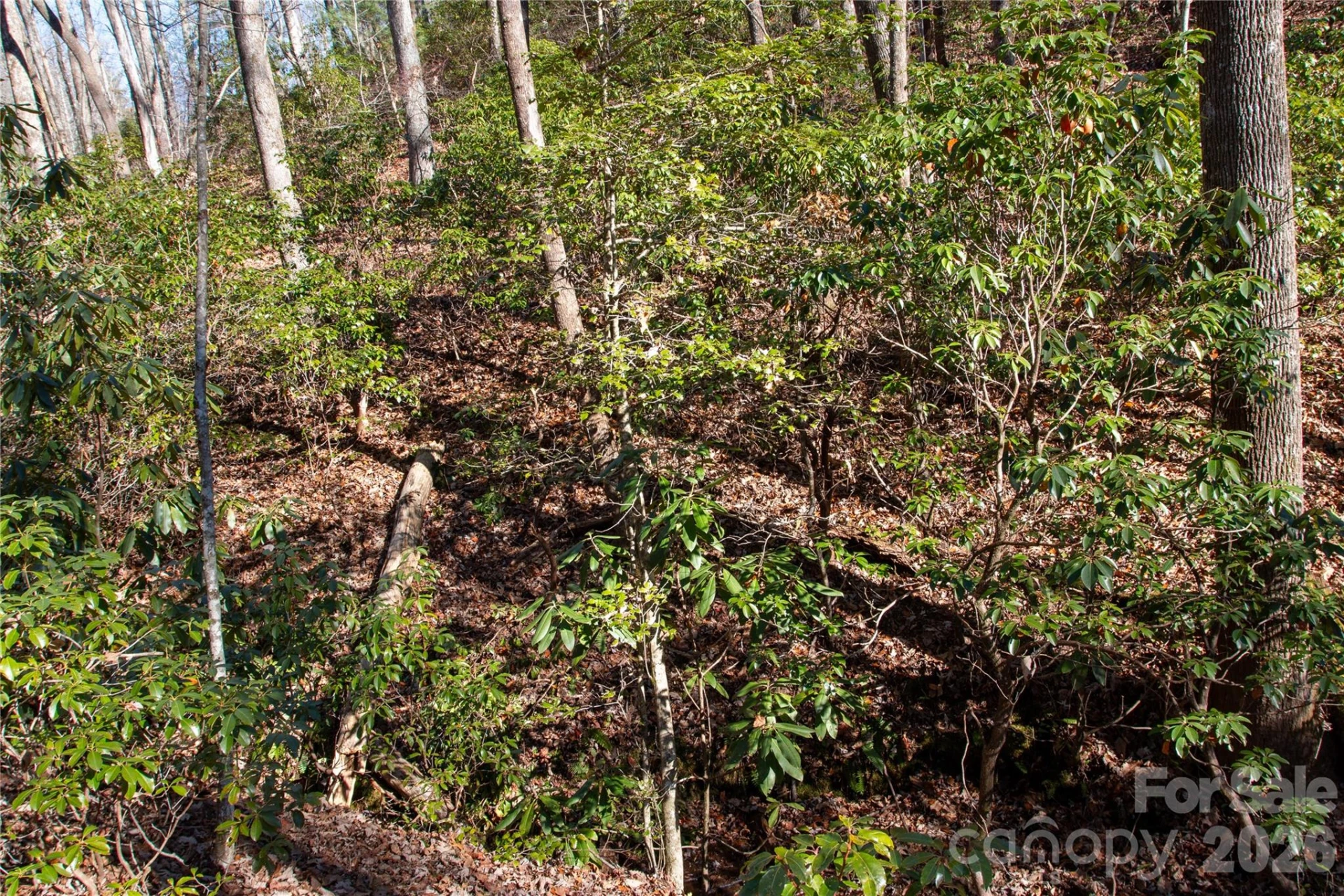 Lot 26 Big Branch Road - Photo 8