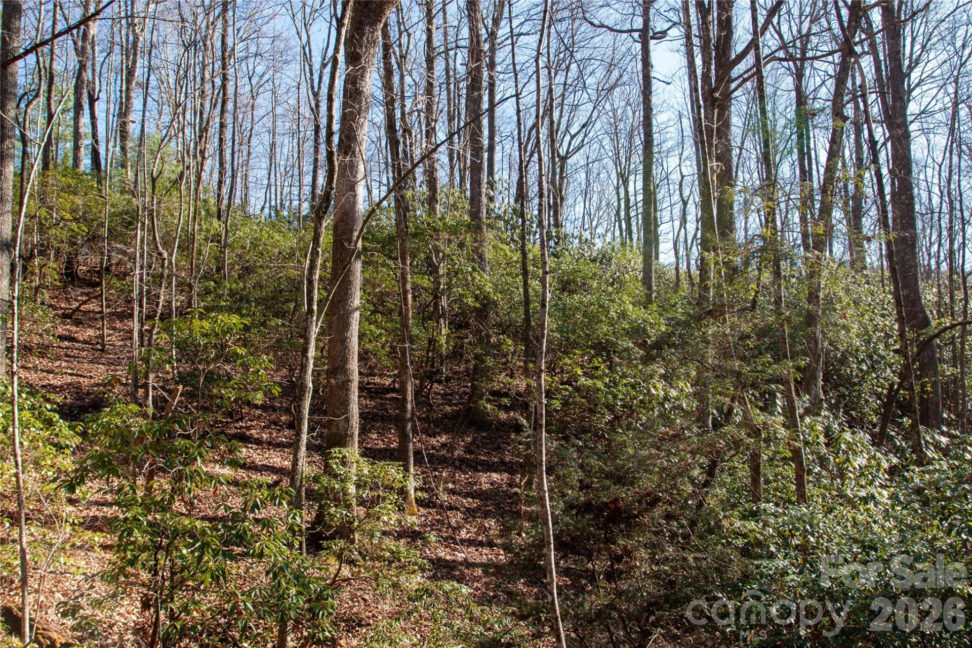 Lot 26 Big Branch Road - Photo 9