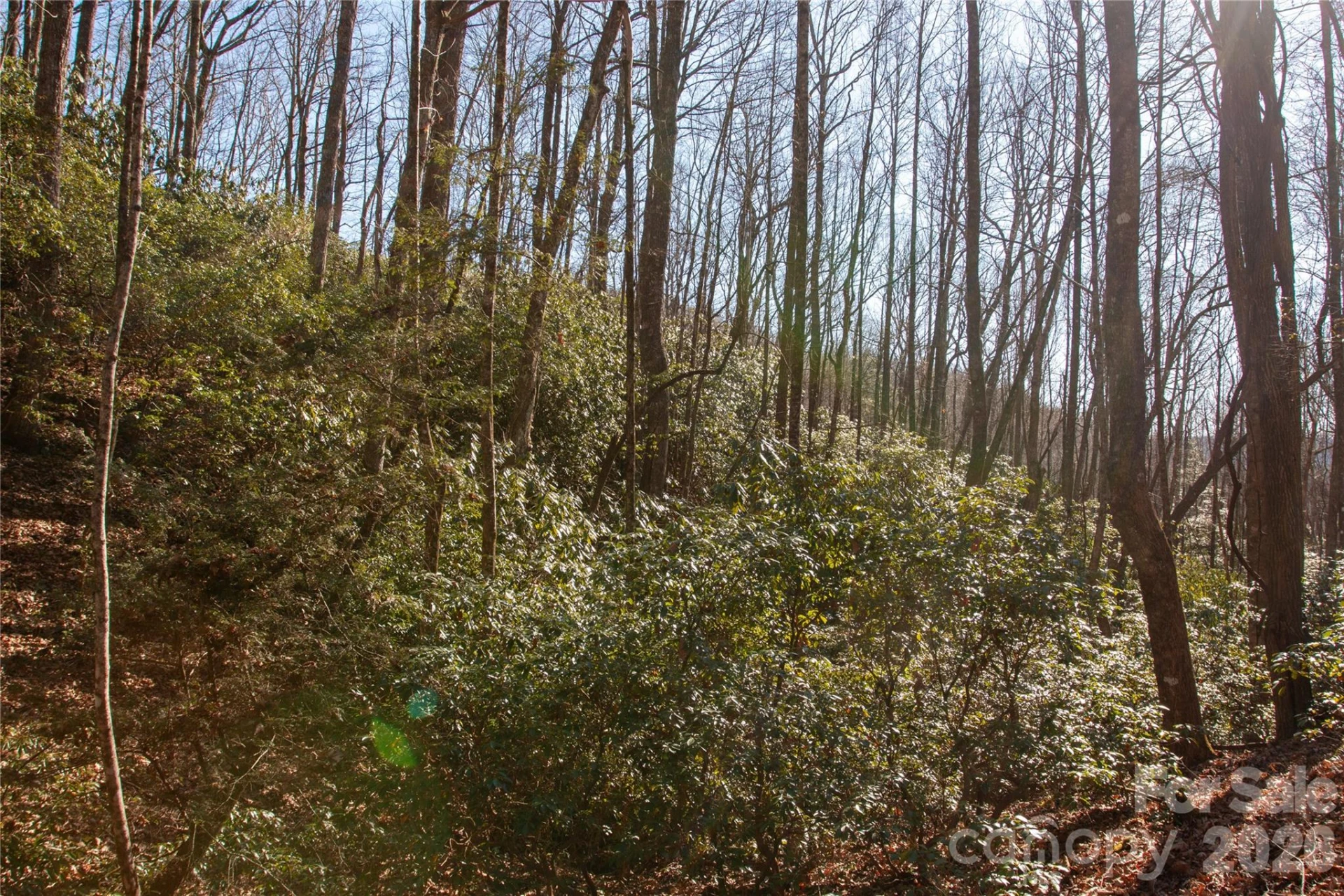 Lot 26 Big Branch Road - Photo 10
