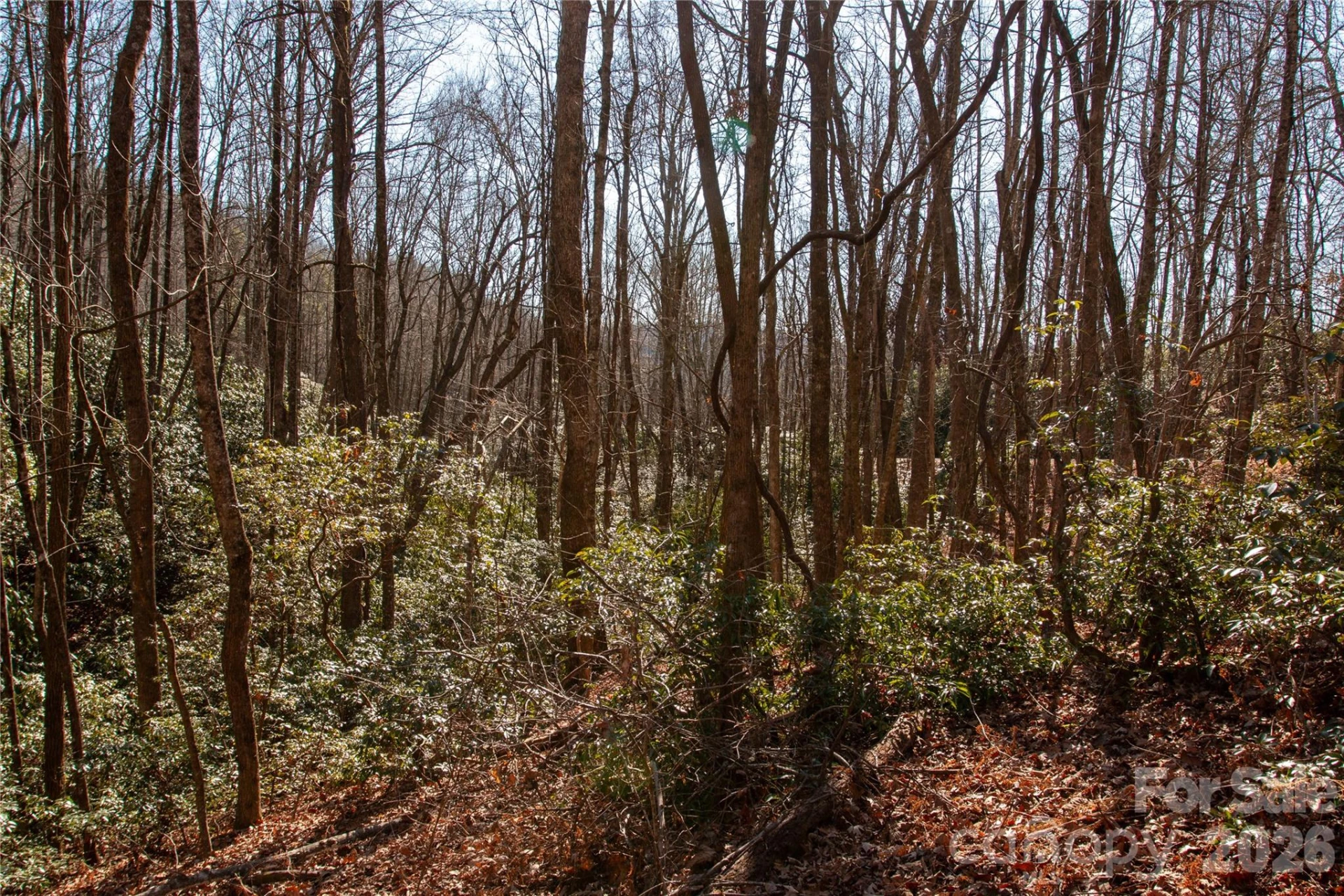 Lot 26 Big Branch Road - Photo 11