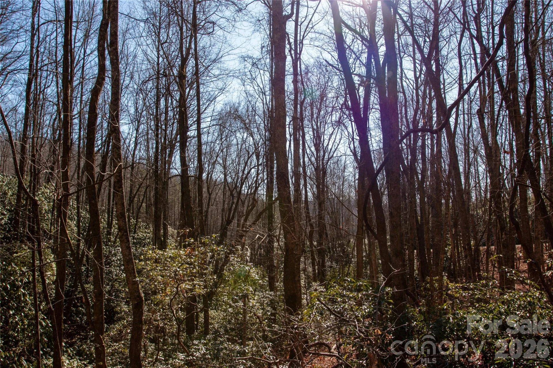 Lot 26 Big Branch Road - Photo 12
