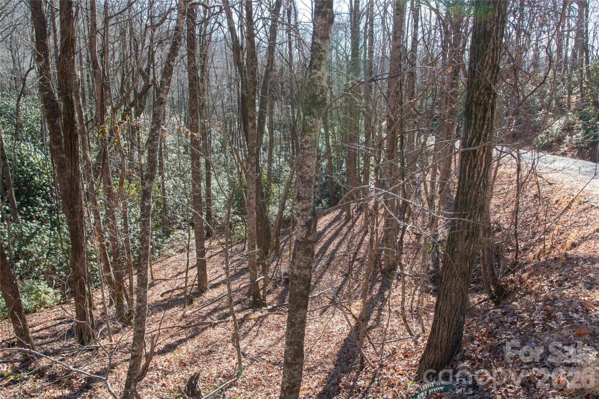 Lot 26 Big Branch Road - Photo 13