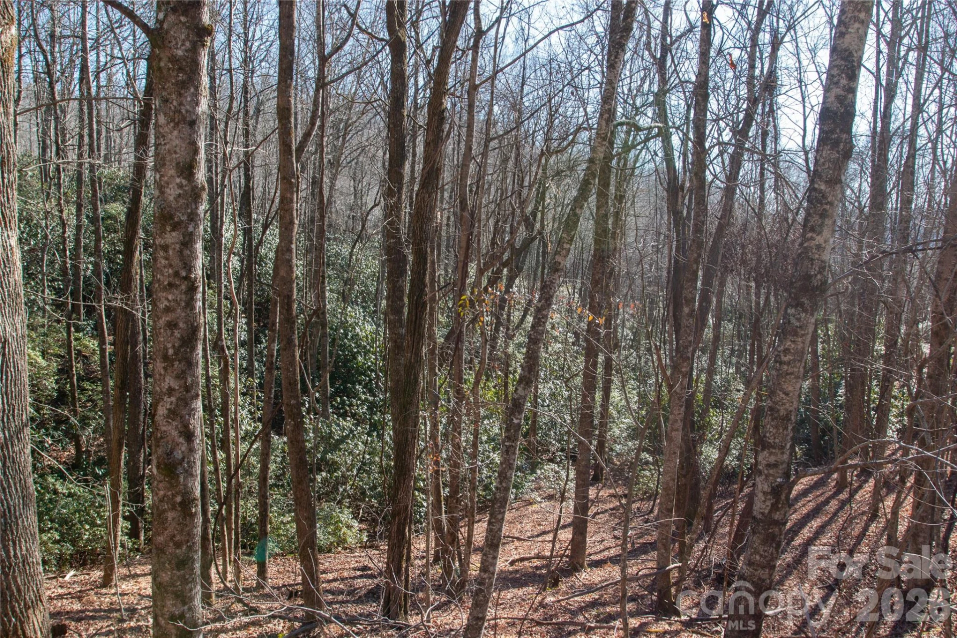 Lot 26 Big Branch Road - Photo 14