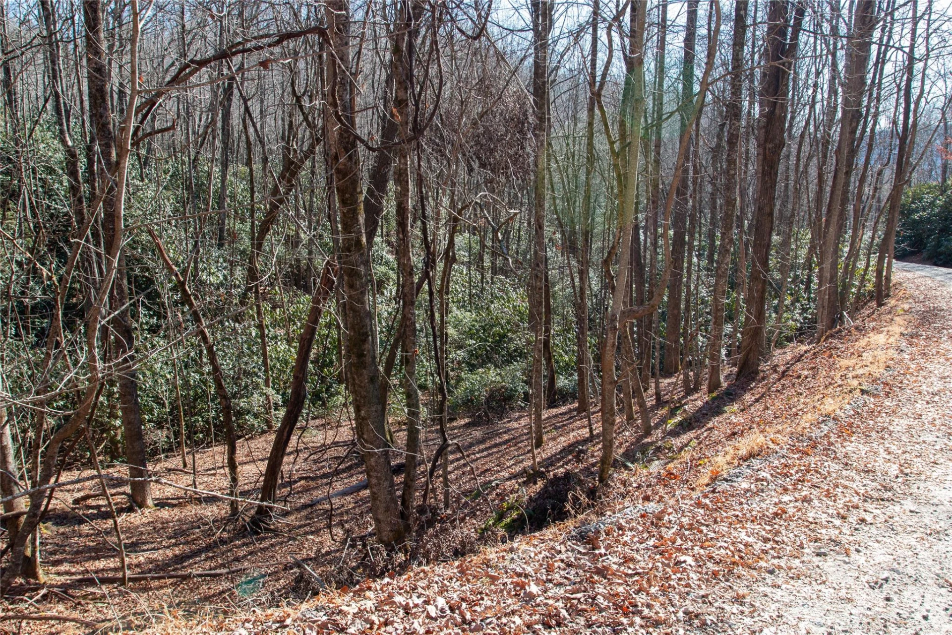 Lot 26 Big Branch Road - Photo 15