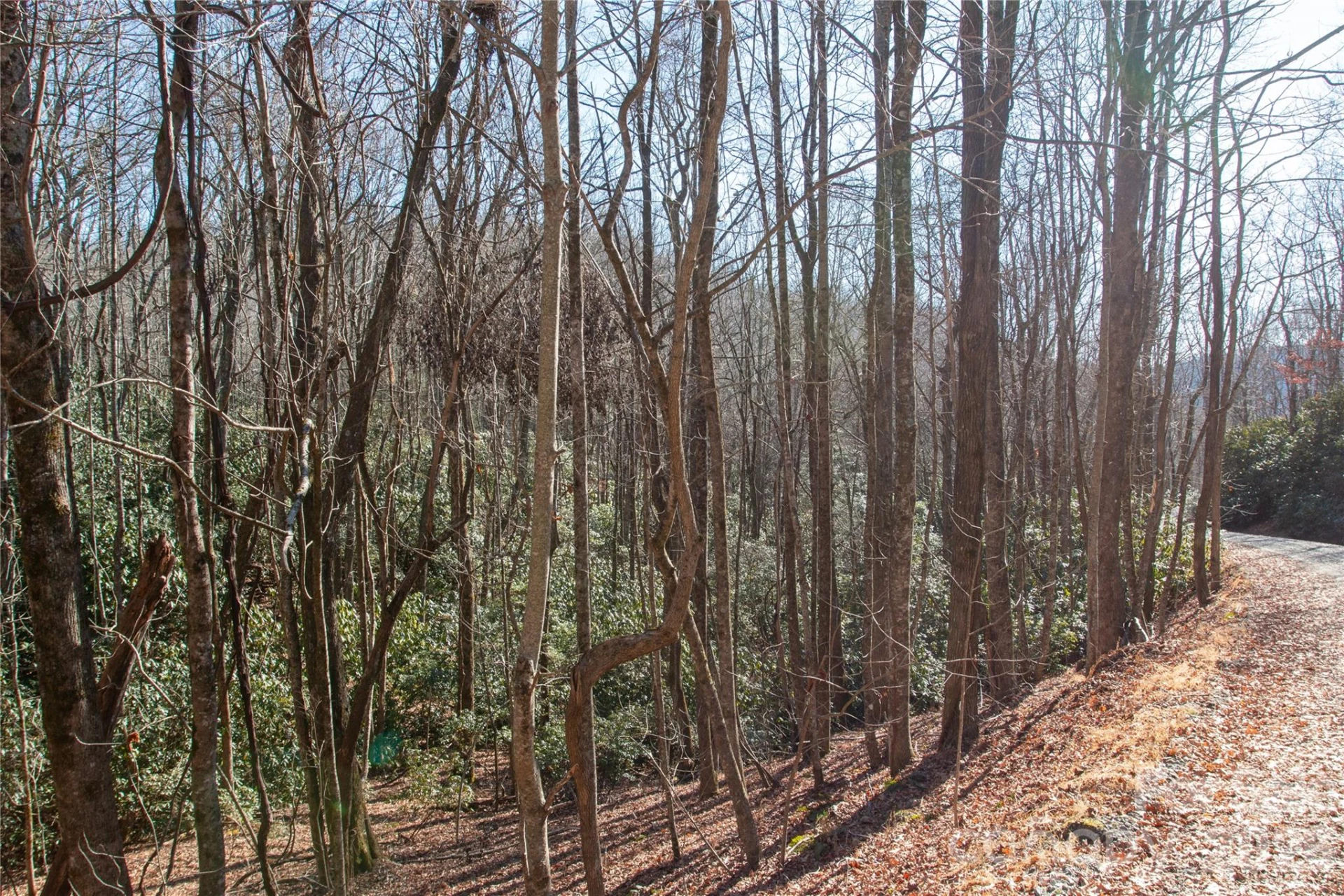 Lot 26 Big Branch Road - Photo 16