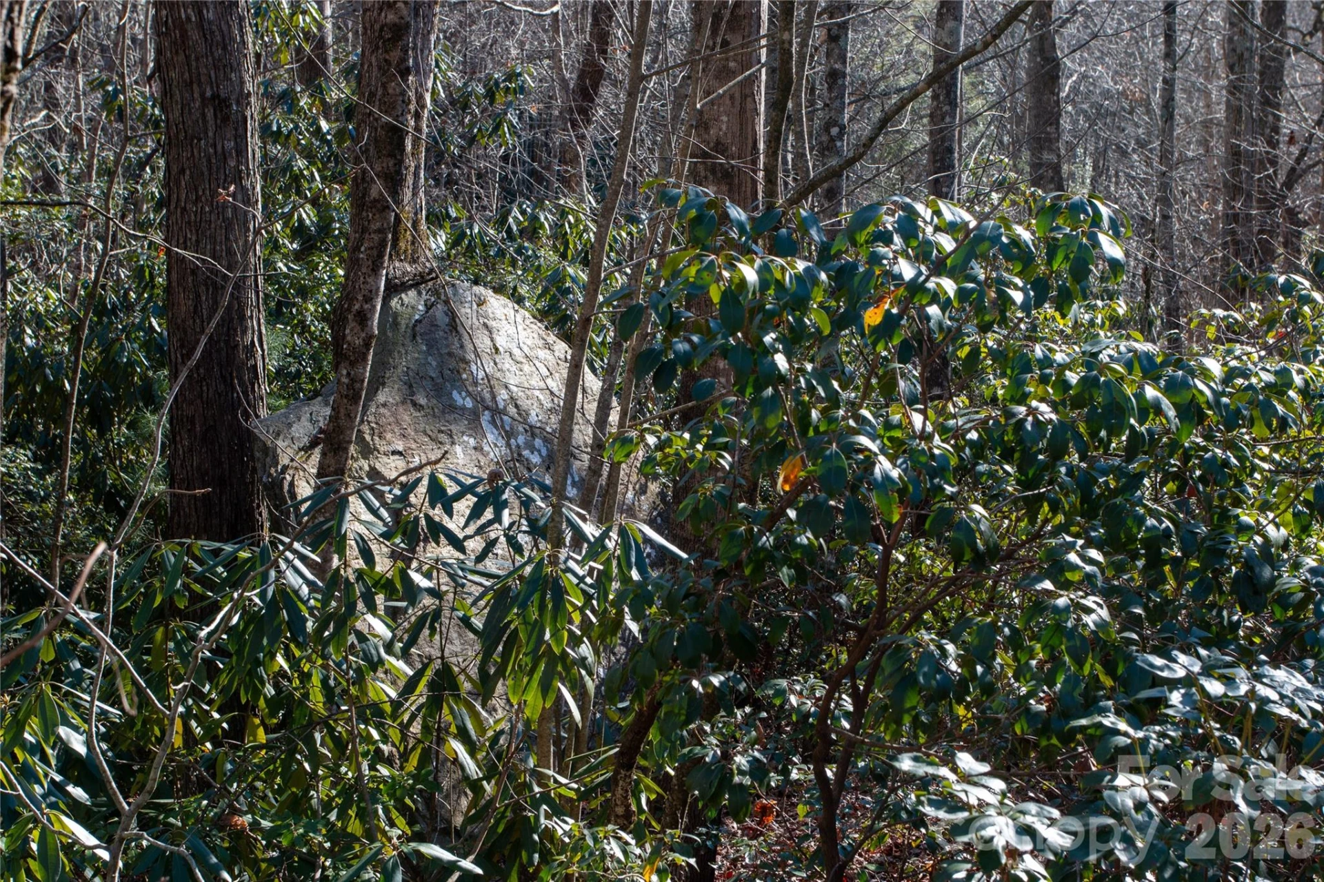 Lot 26 Big Branch Road - Photo 18