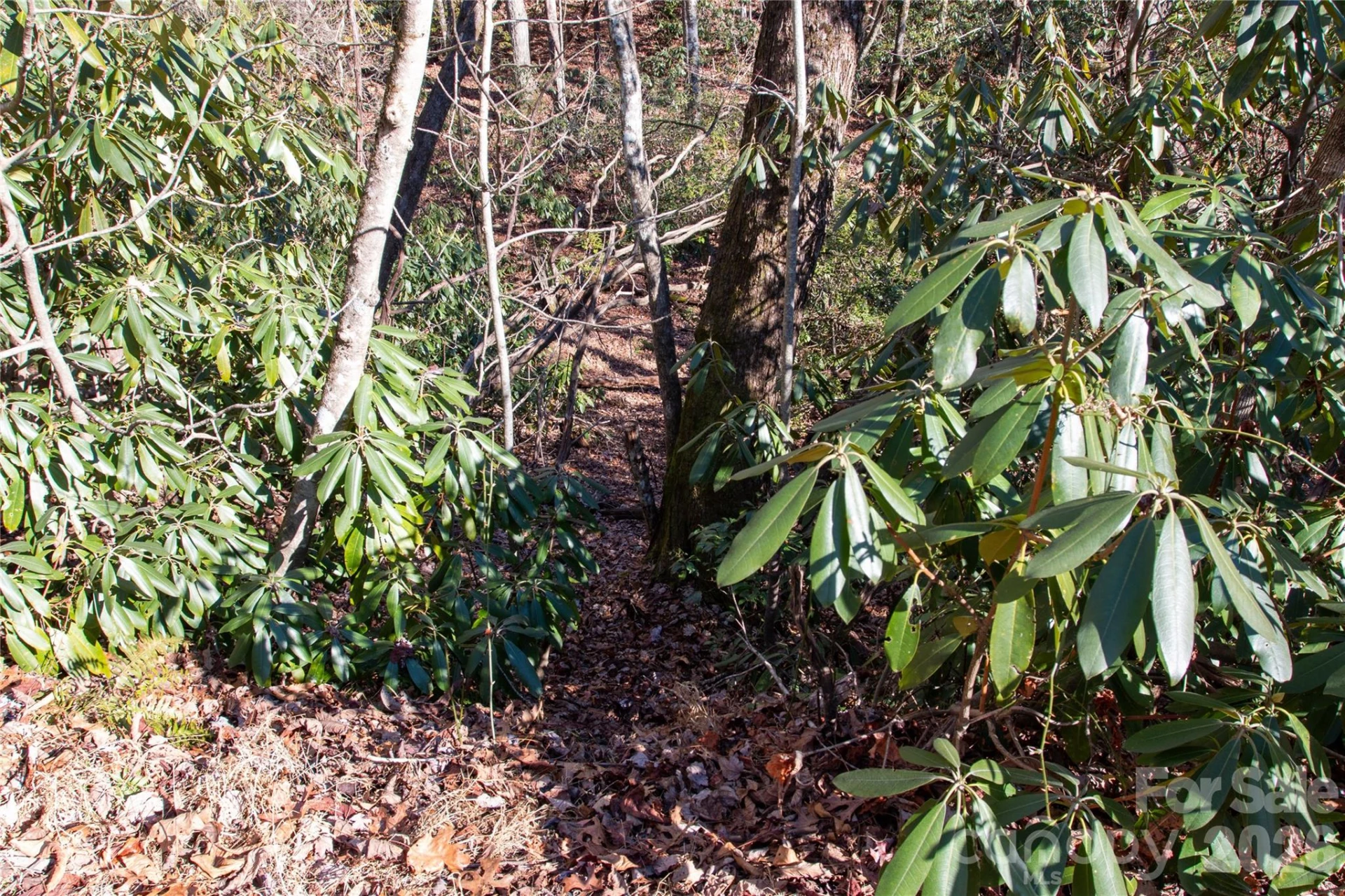 Lot 26 Big Branch Road - Photo 19