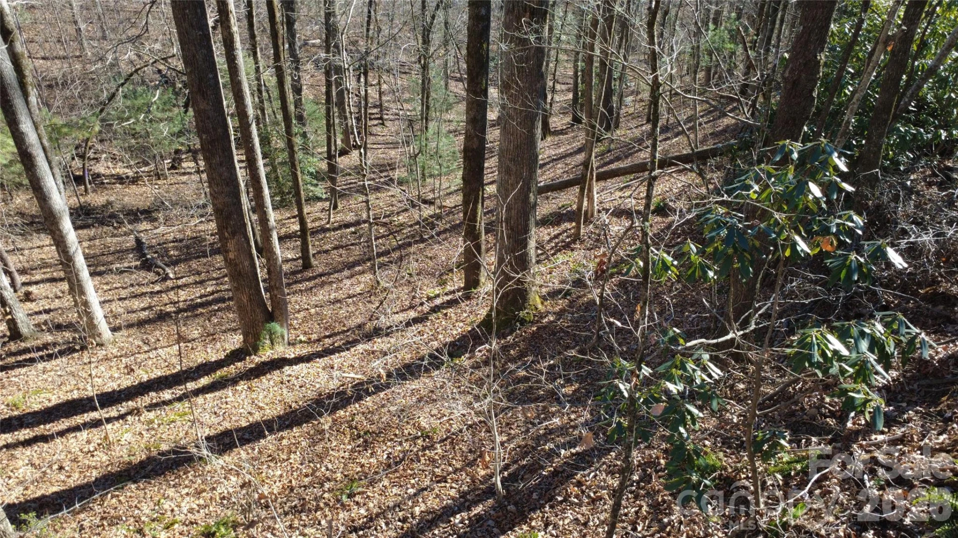 Lot 26 Big Branch Road - Photo 20