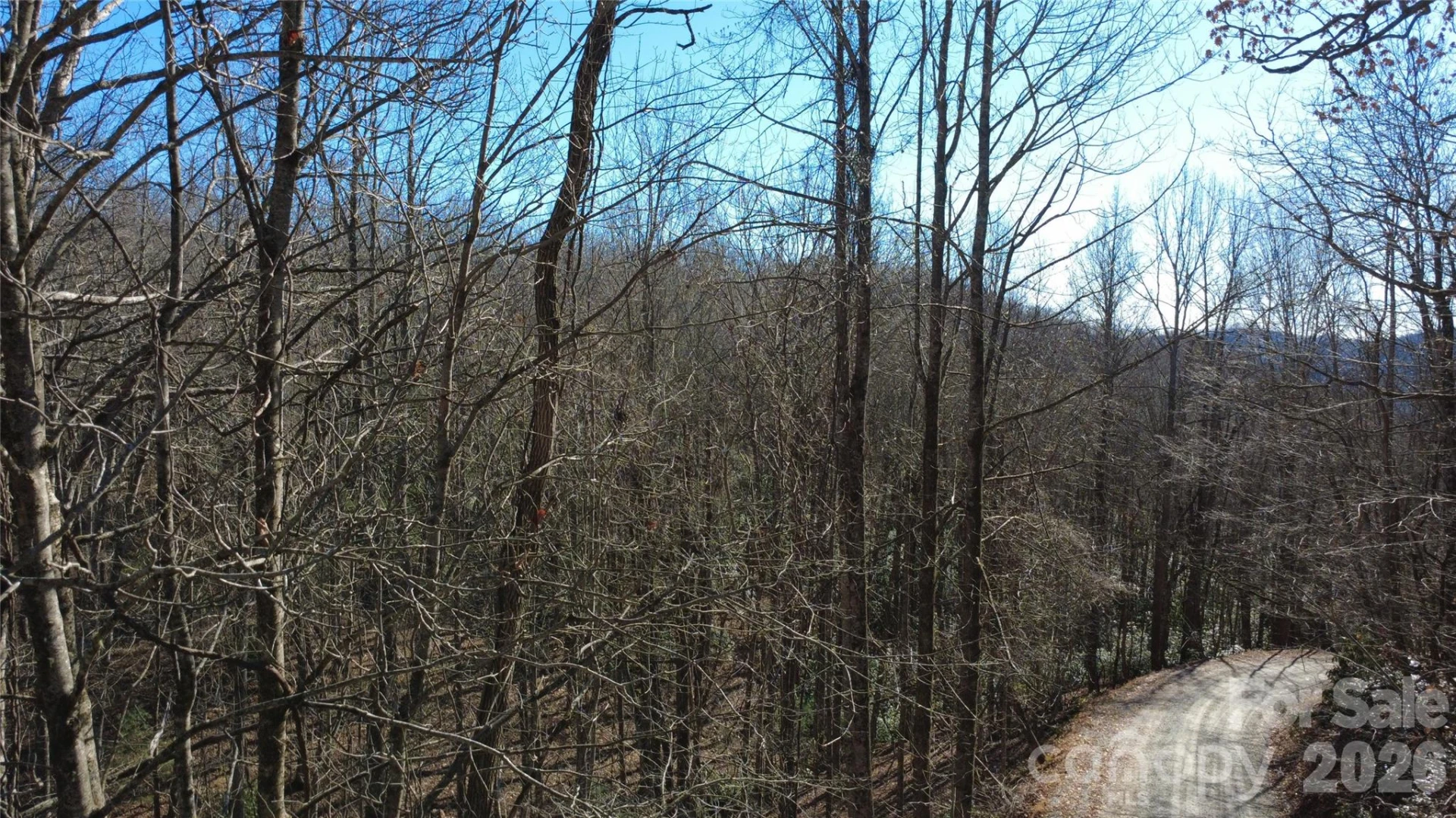 Lot 26 Big Branch Road - Photo 21