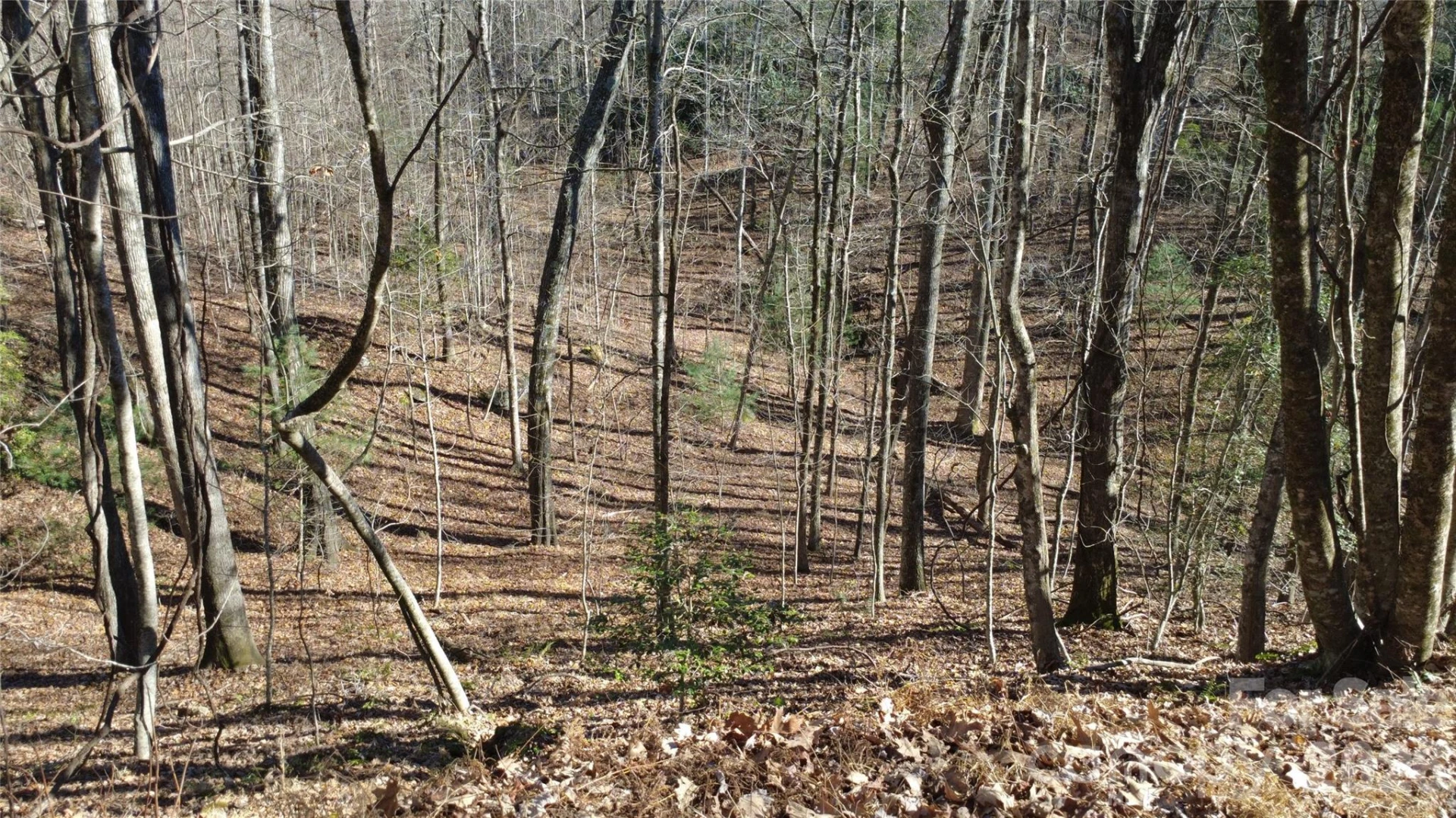 Lot 26 Big Branch Road - Photo 22
