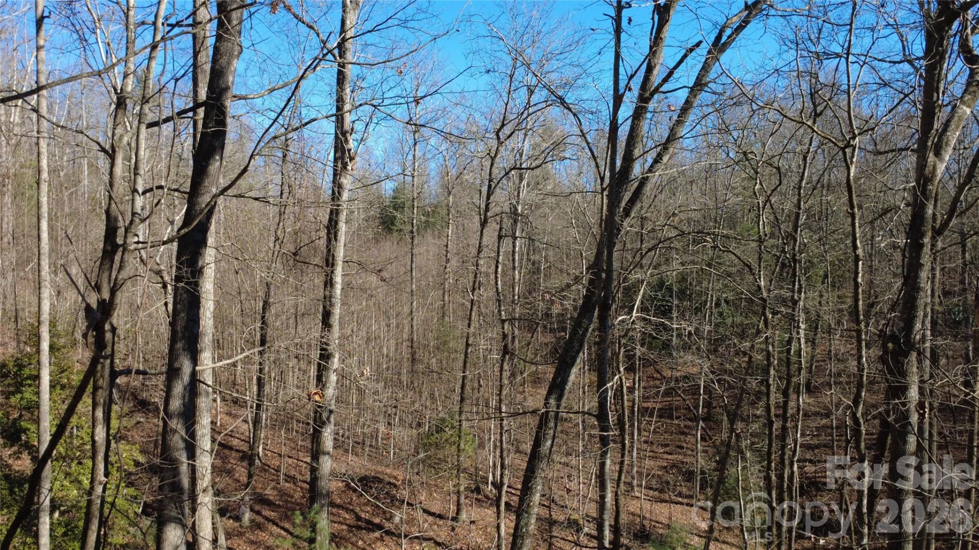 Lot 26 Big Branch Road - Photo 23
