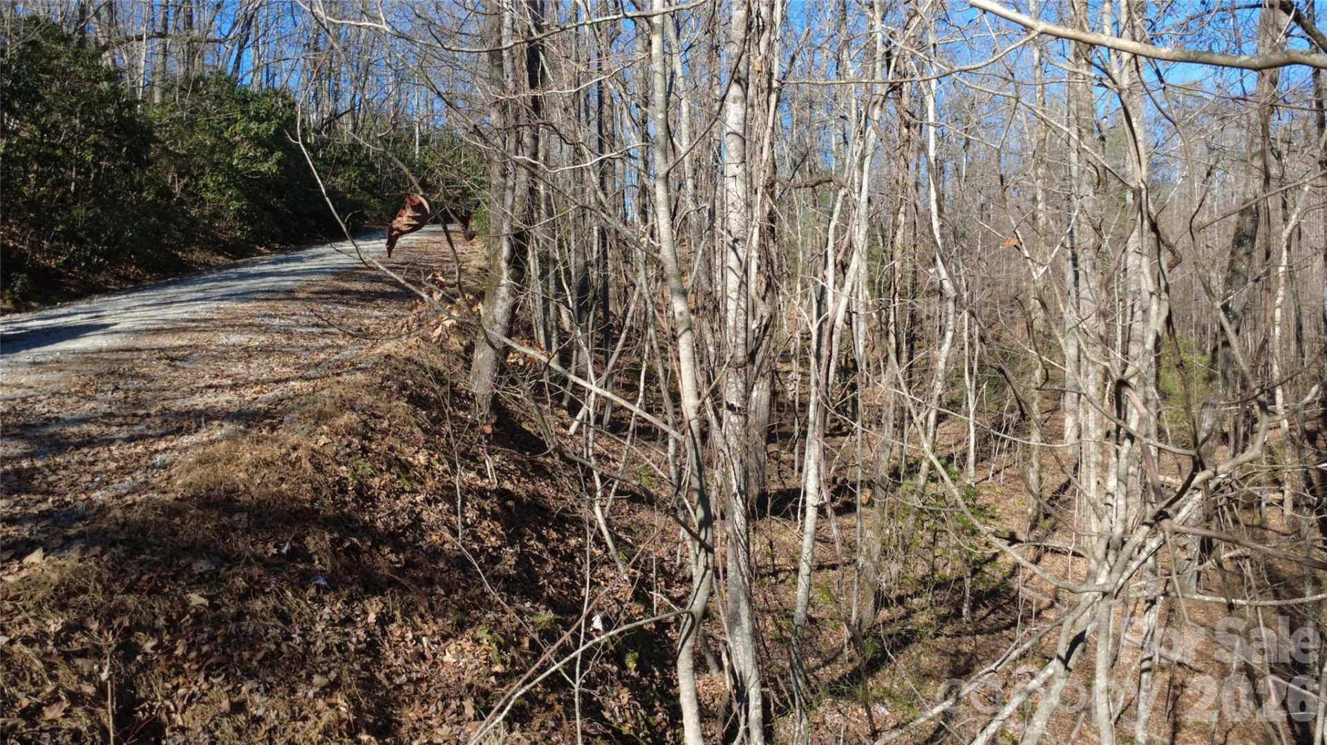 Lot 26 Big Branch Road - Photo 24