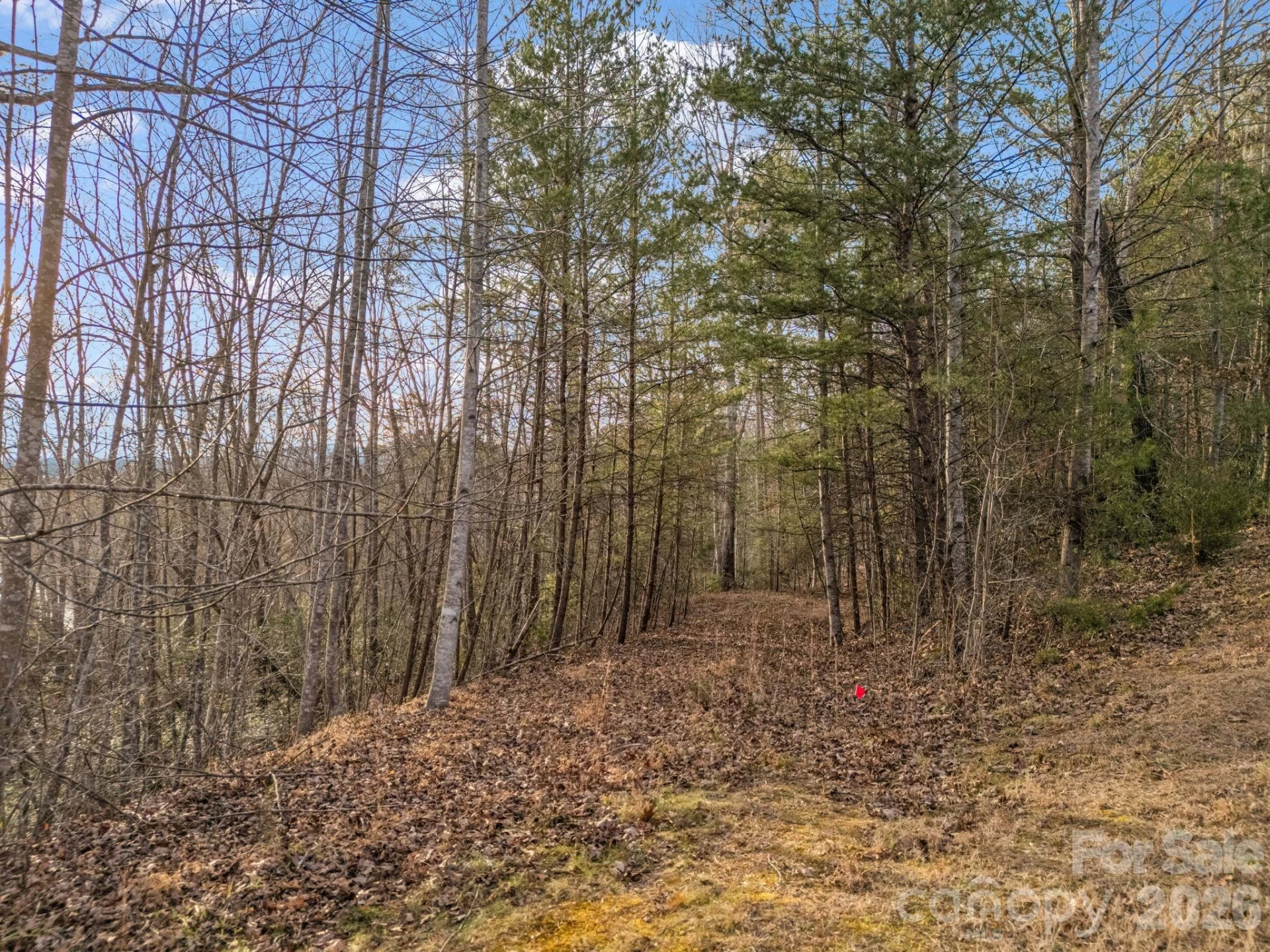 2 Jackson Cove Road W - Photo 31