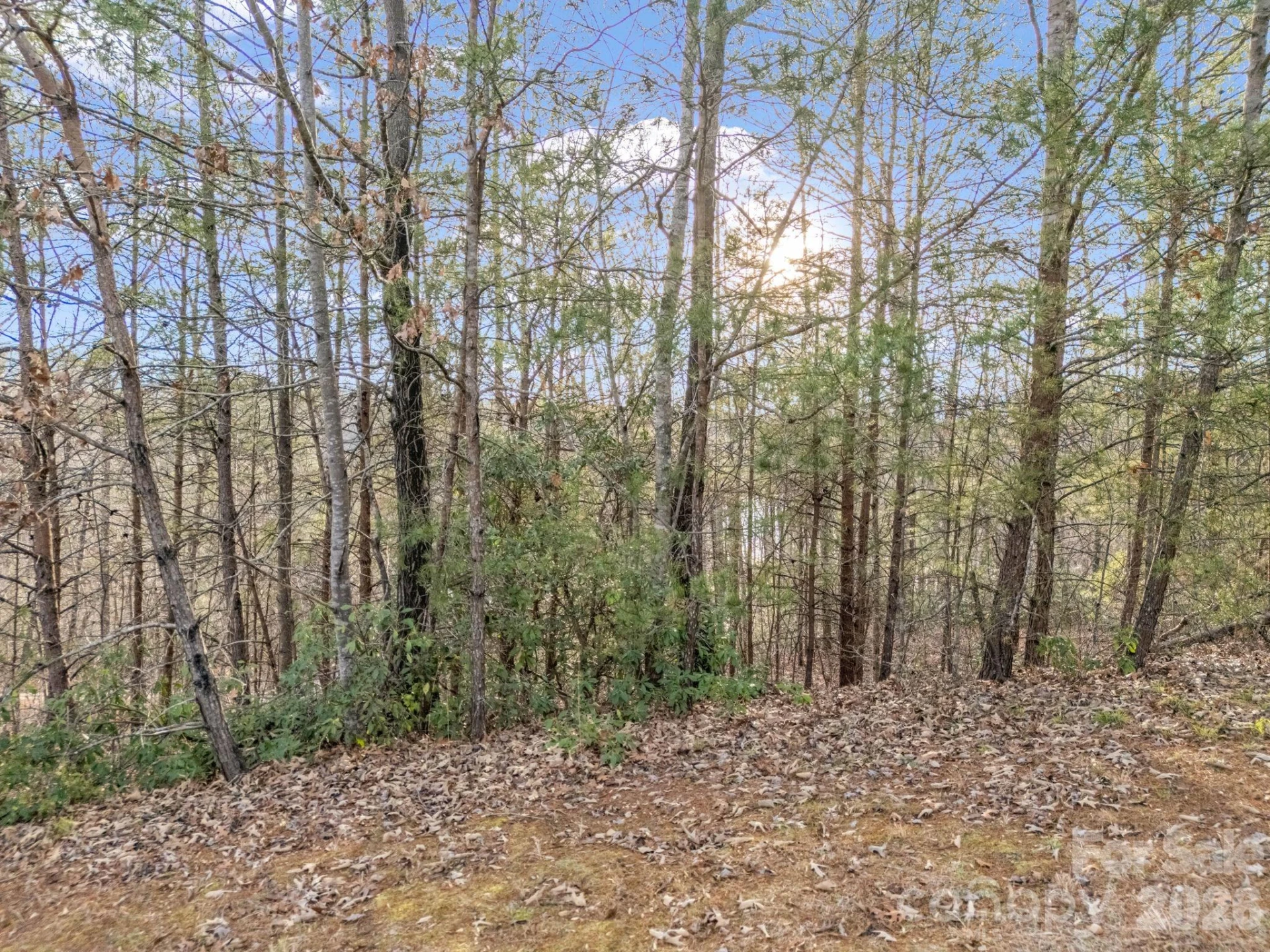2 Jackson Cove Road W - Photo 35
