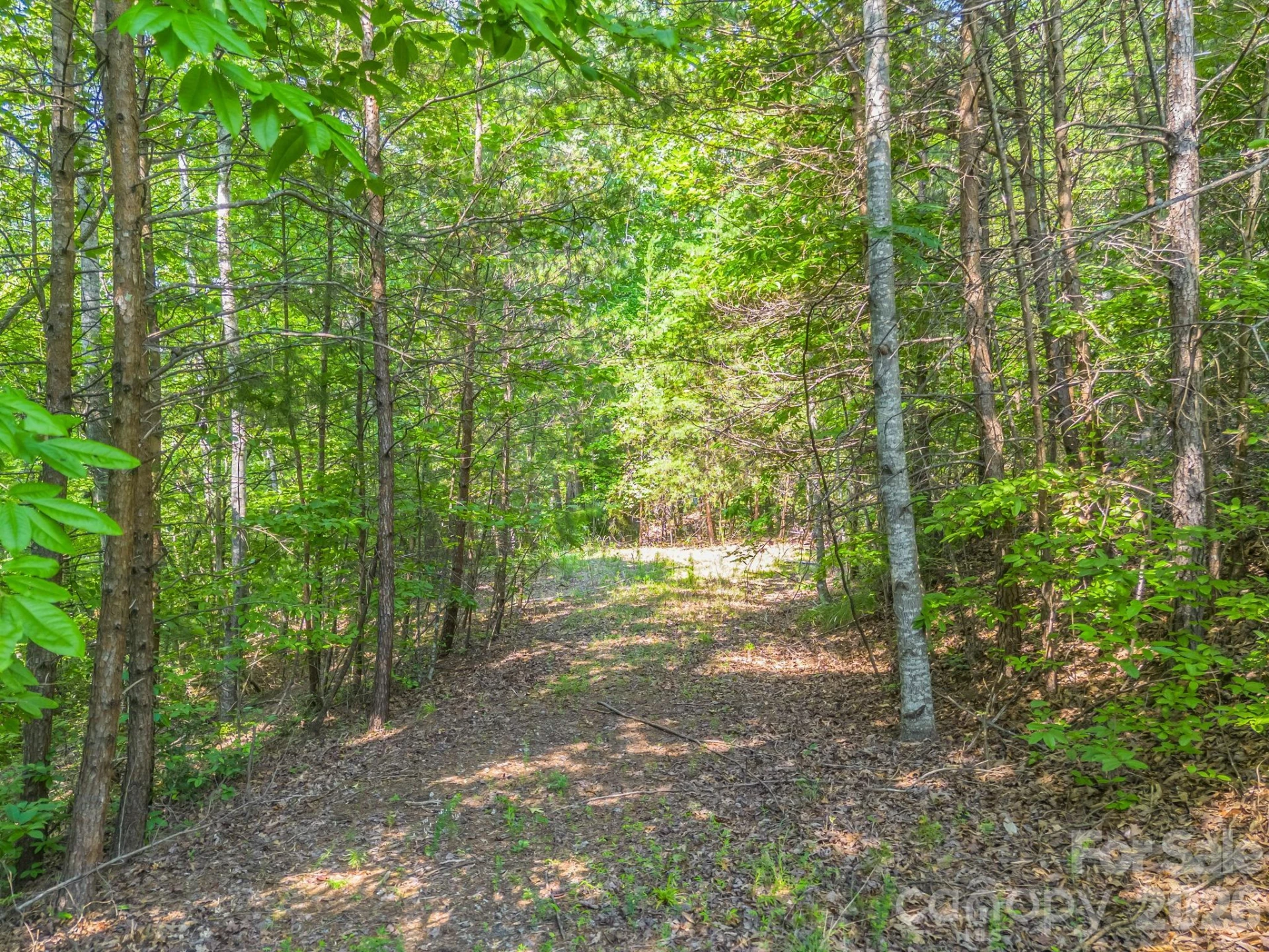 2 Jackson Cove Road W - Photo 4