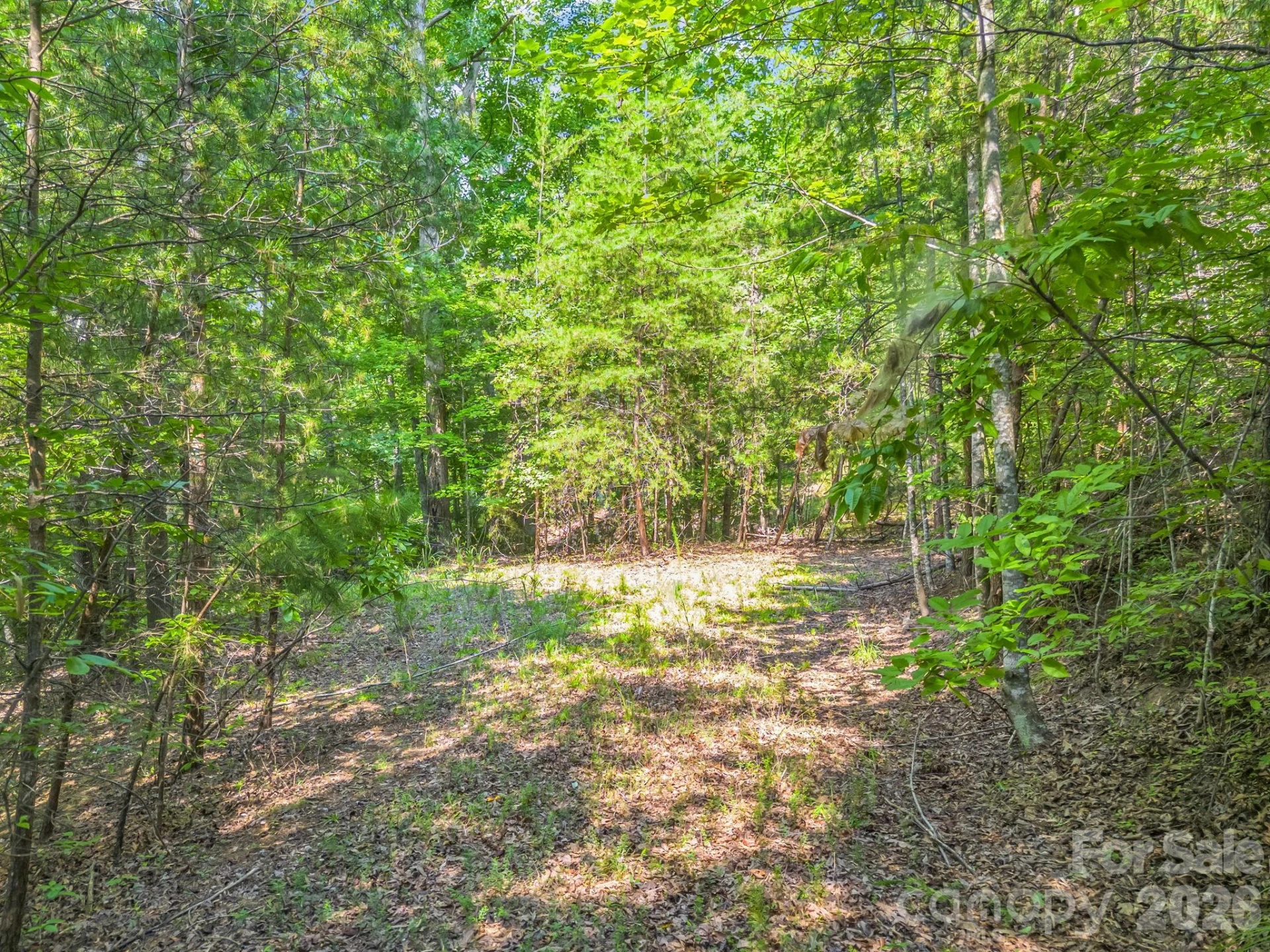 2 Jackson Cove Road W - Photo 6