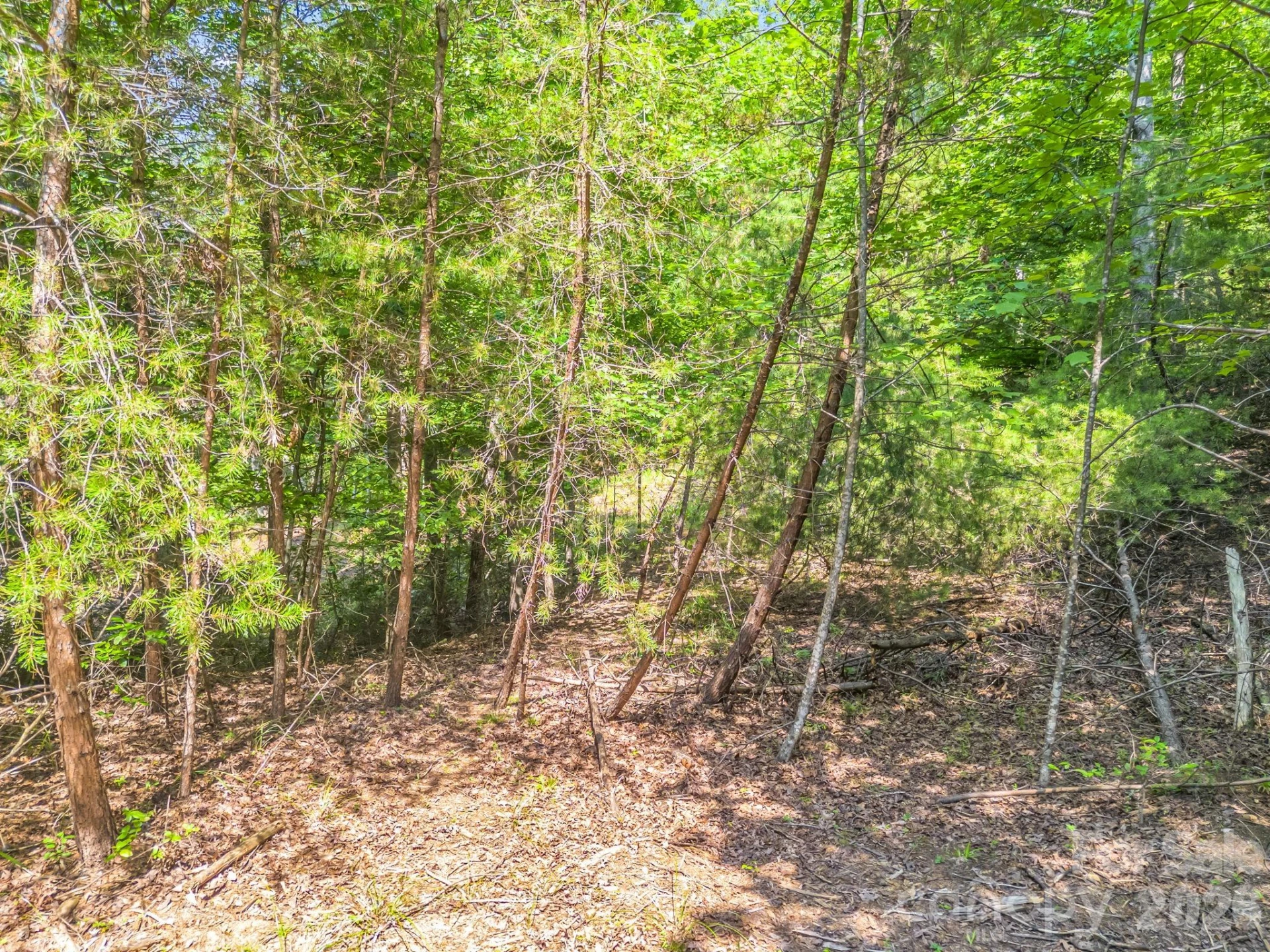 2 Jackson Cove Road W - Photo 7