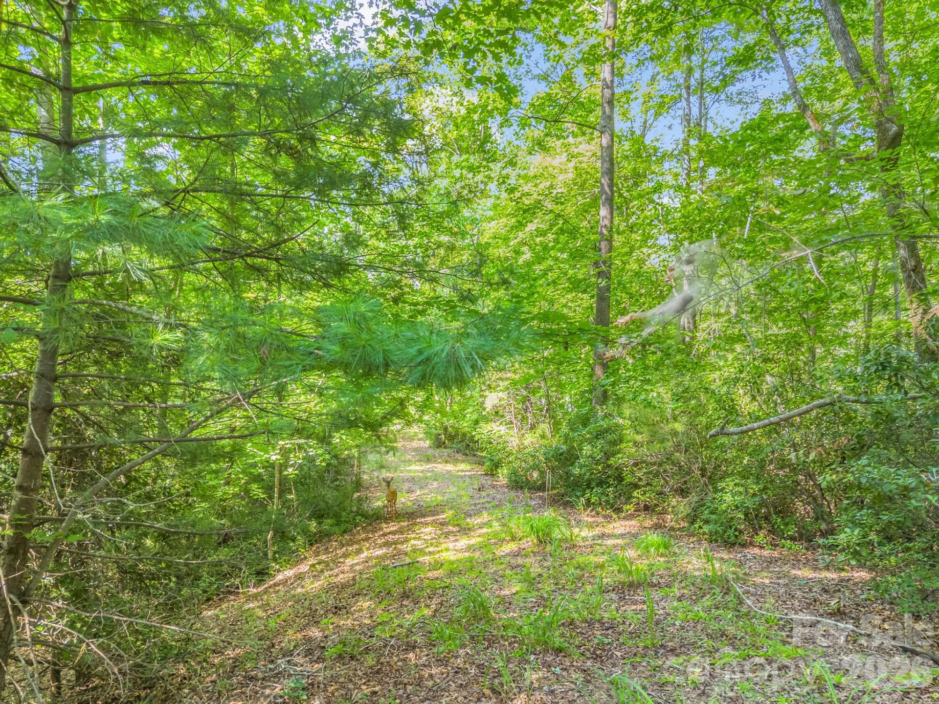 2 Jackson Cove Road W - Photo 9