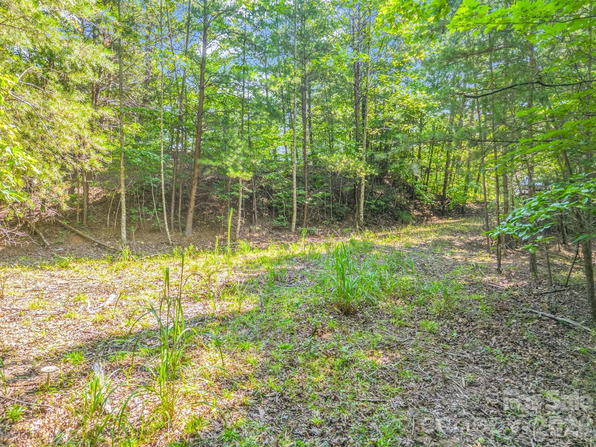2 Jackson Cove Road W - Photo 11