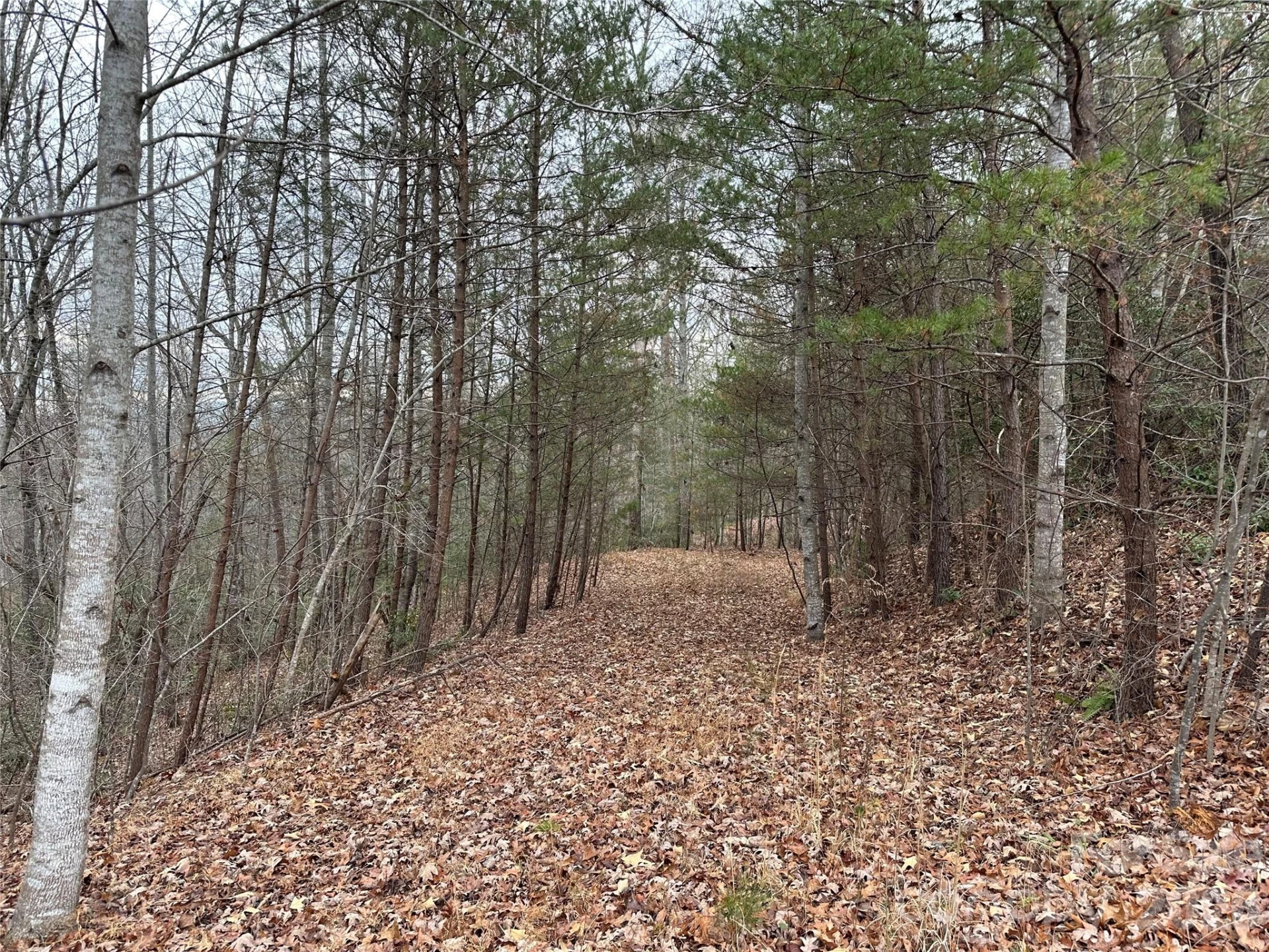 2 Jackson Cove Road W - Photo 8