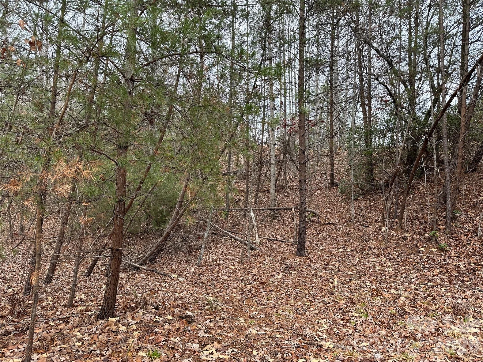 2 Jackson Cove Road W - Photo 10
